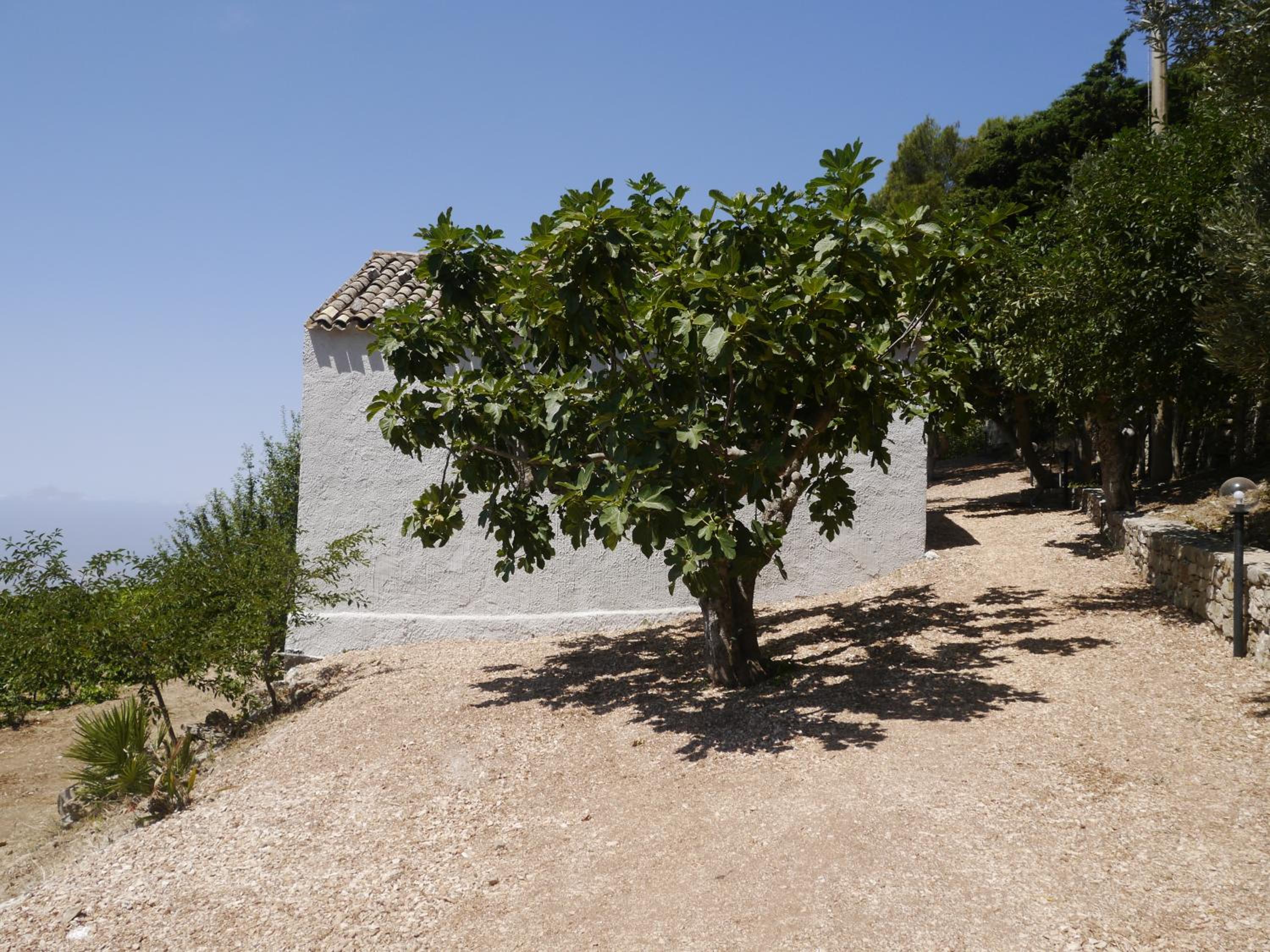 Photo 41