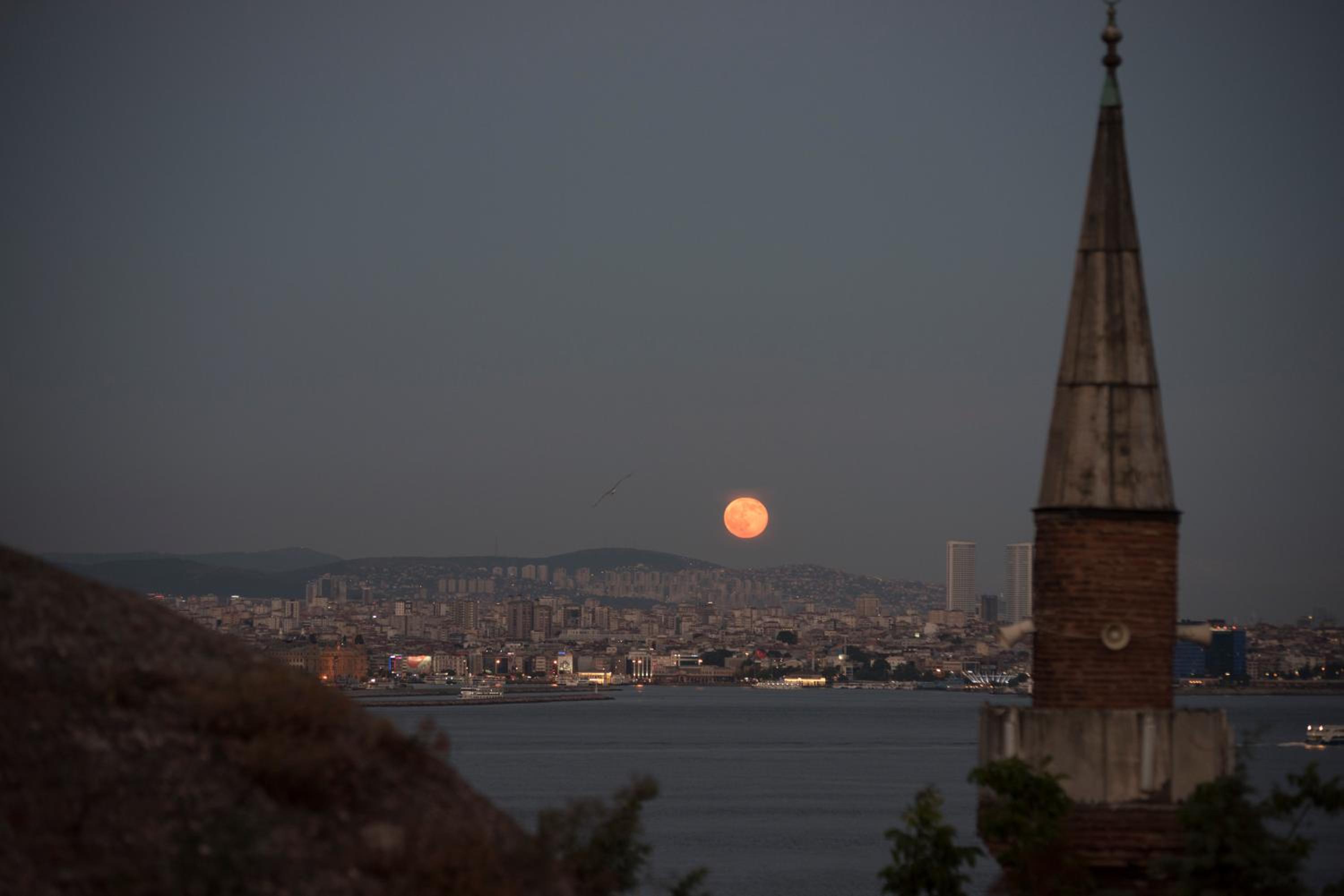 Hotel Empress Zoe - Image 29