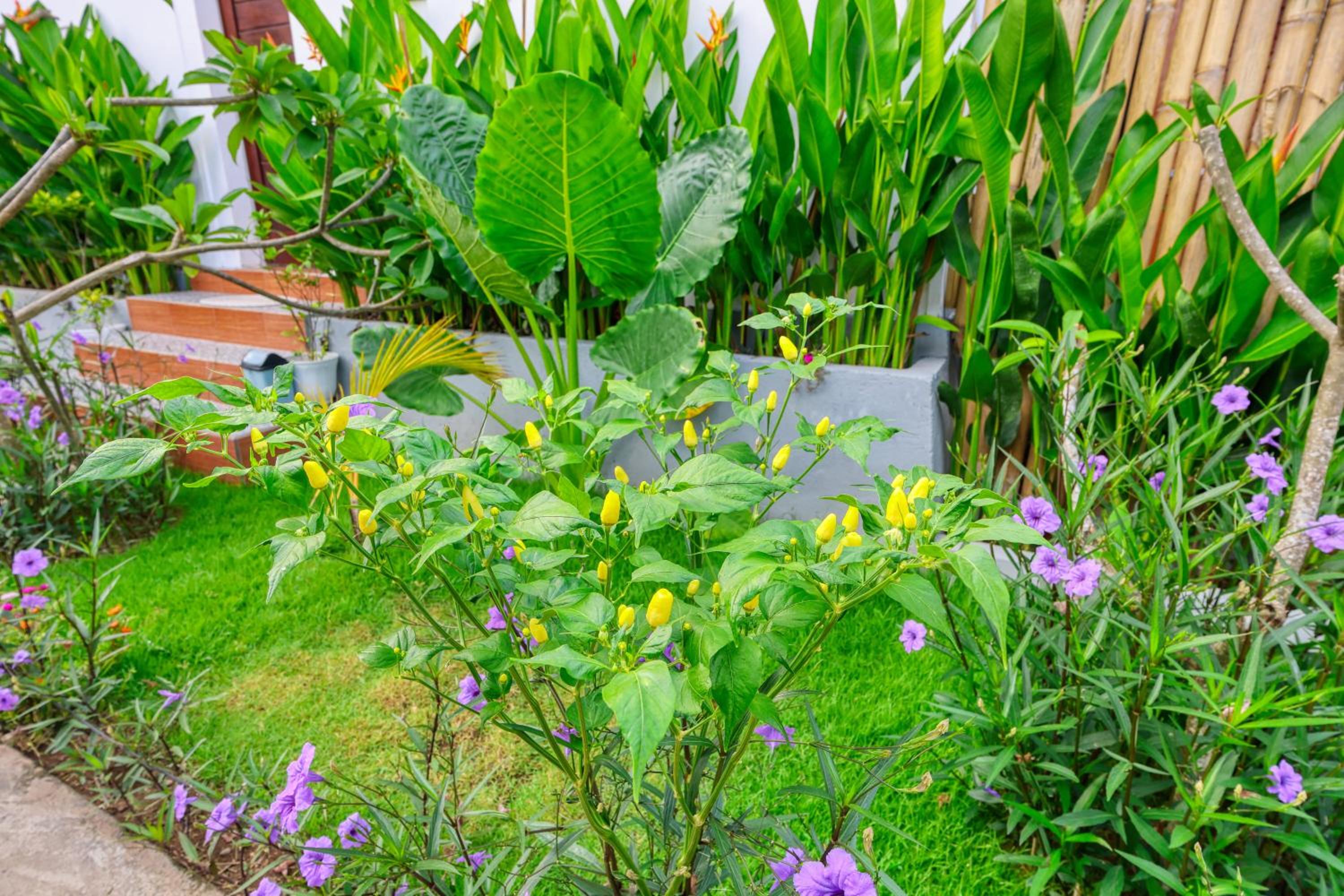 Rostin Mesari Villa