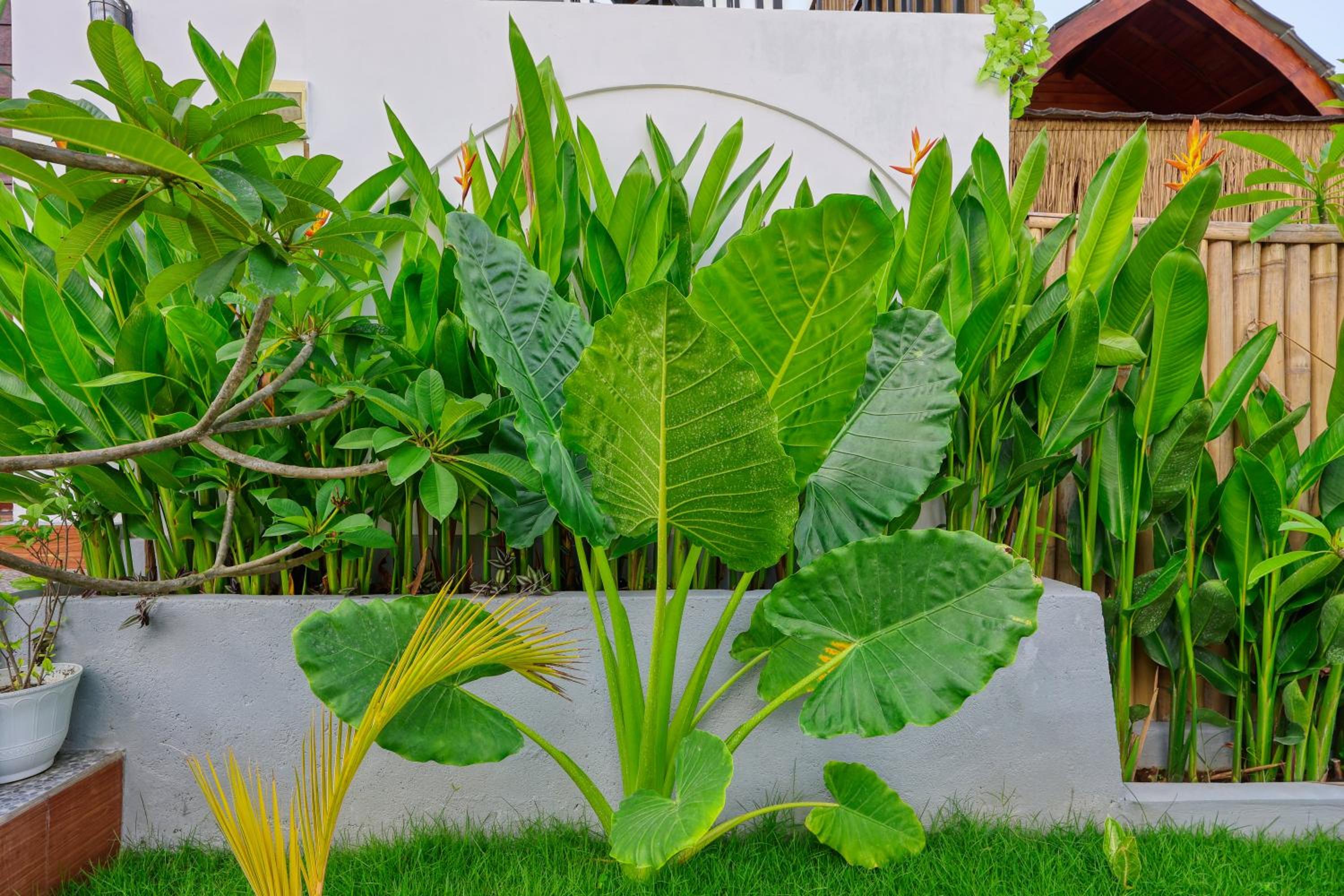 Rostin Mesari Villa