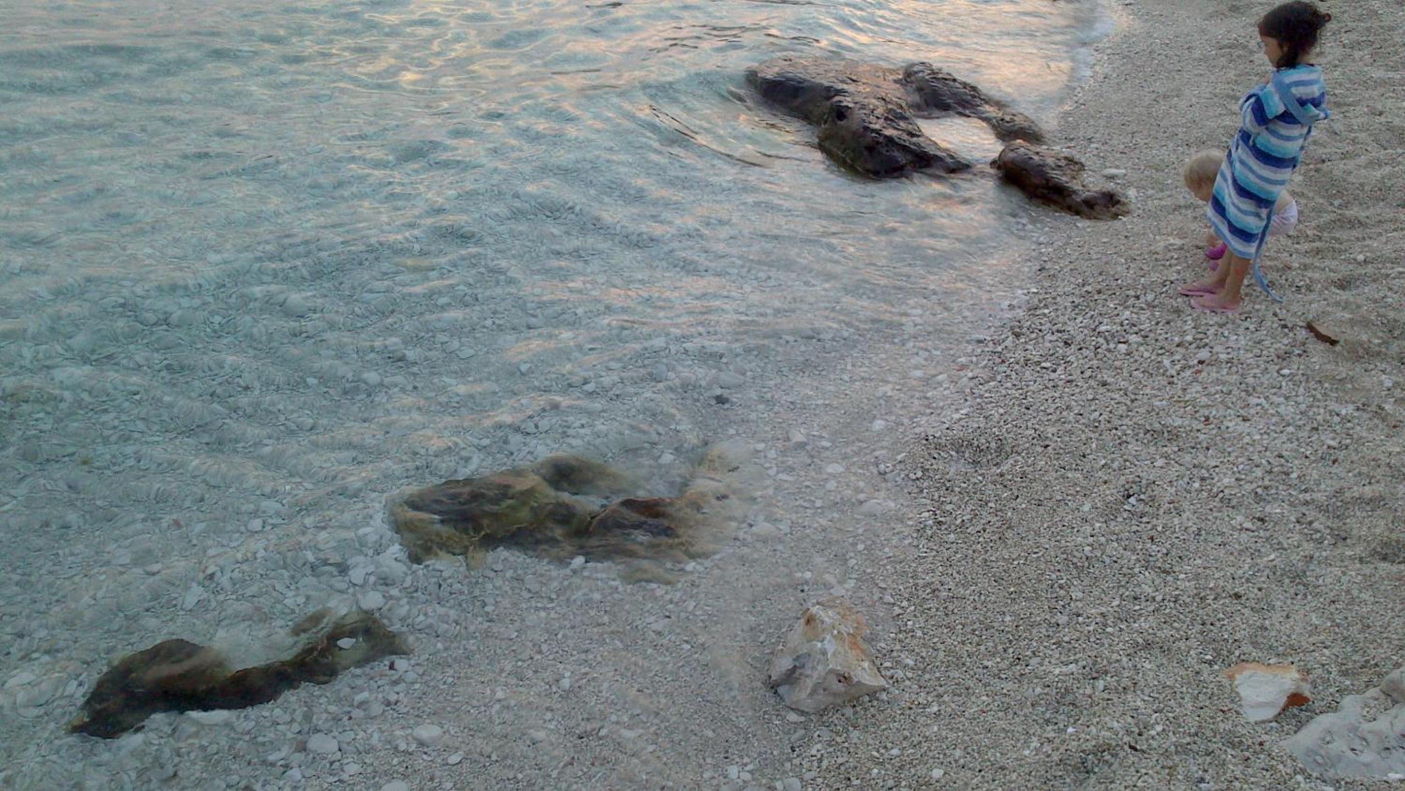 Photo 47