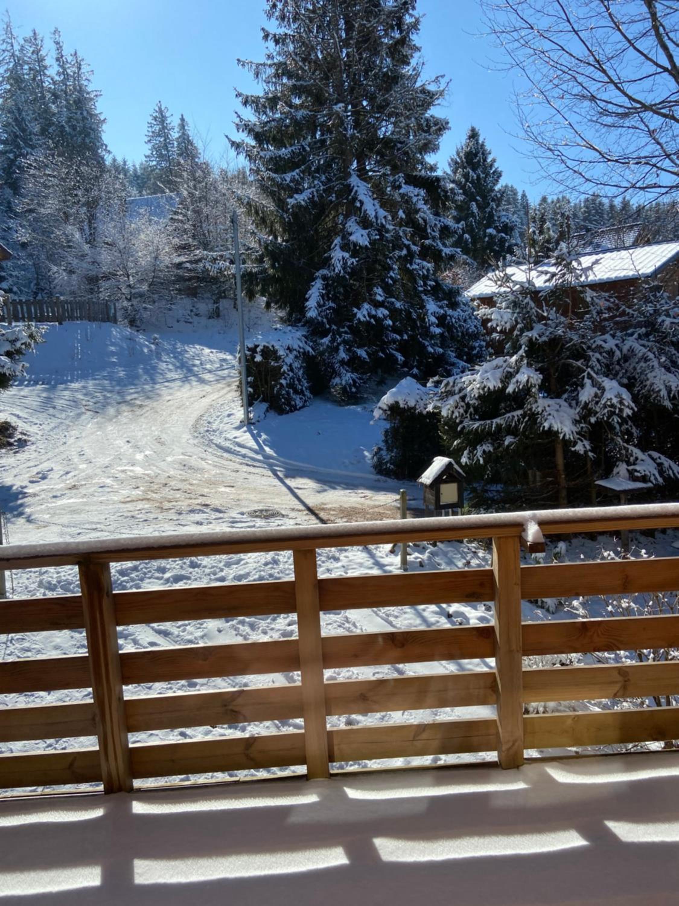 Chalet bois au calme, en lisière de forêt, balcons, sentiers balades Gérardmer & Alsace 