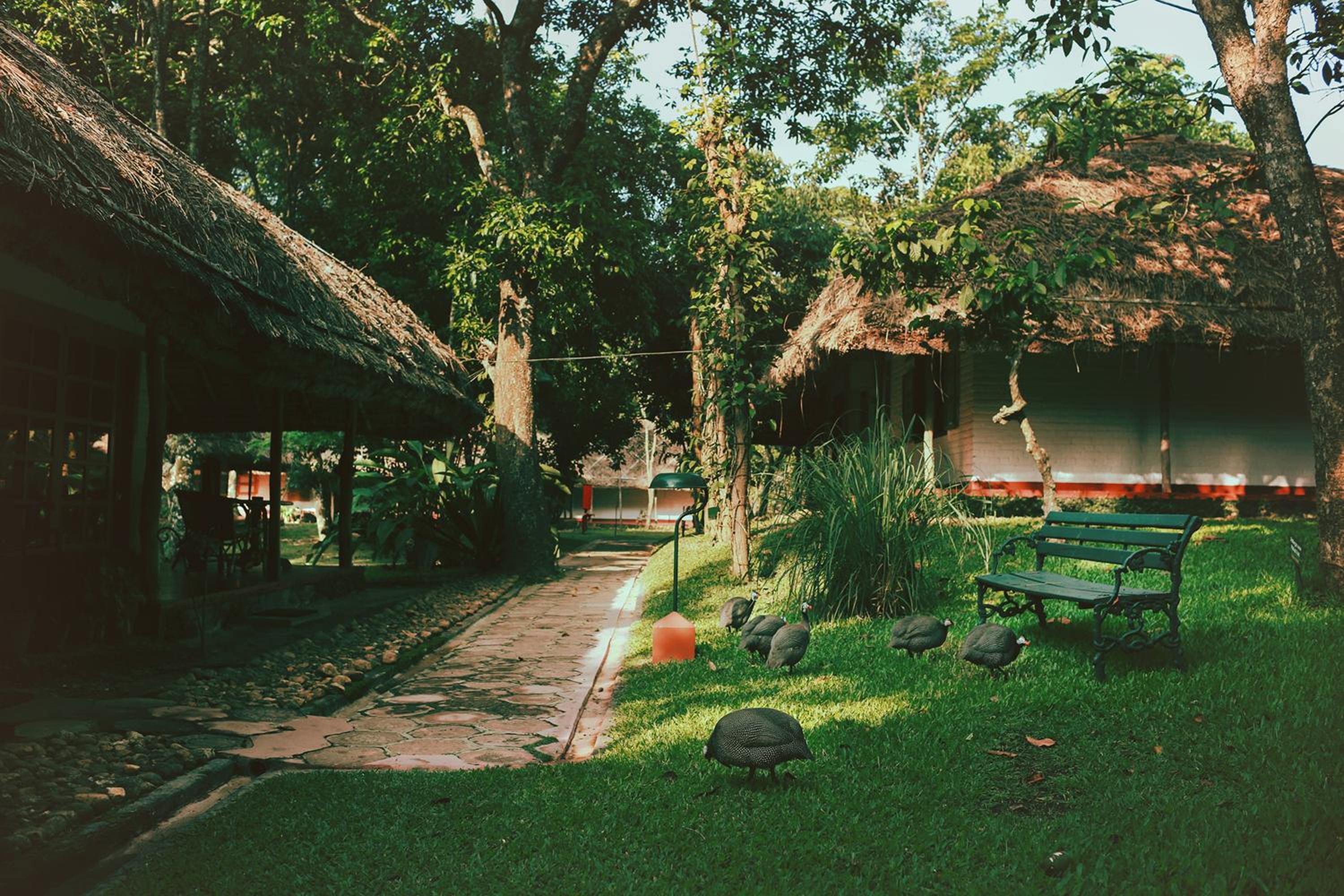 Spice Village Thekkady – A CGH Earth Experience