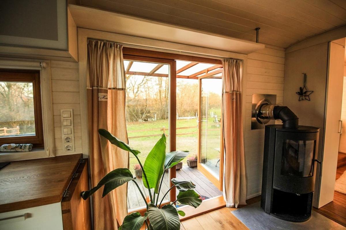 Tiny house with view of nature