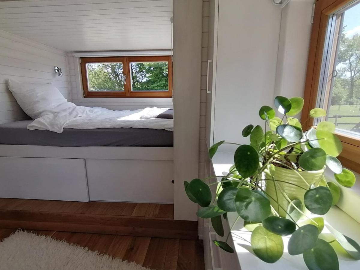 Tiny house with view of nature