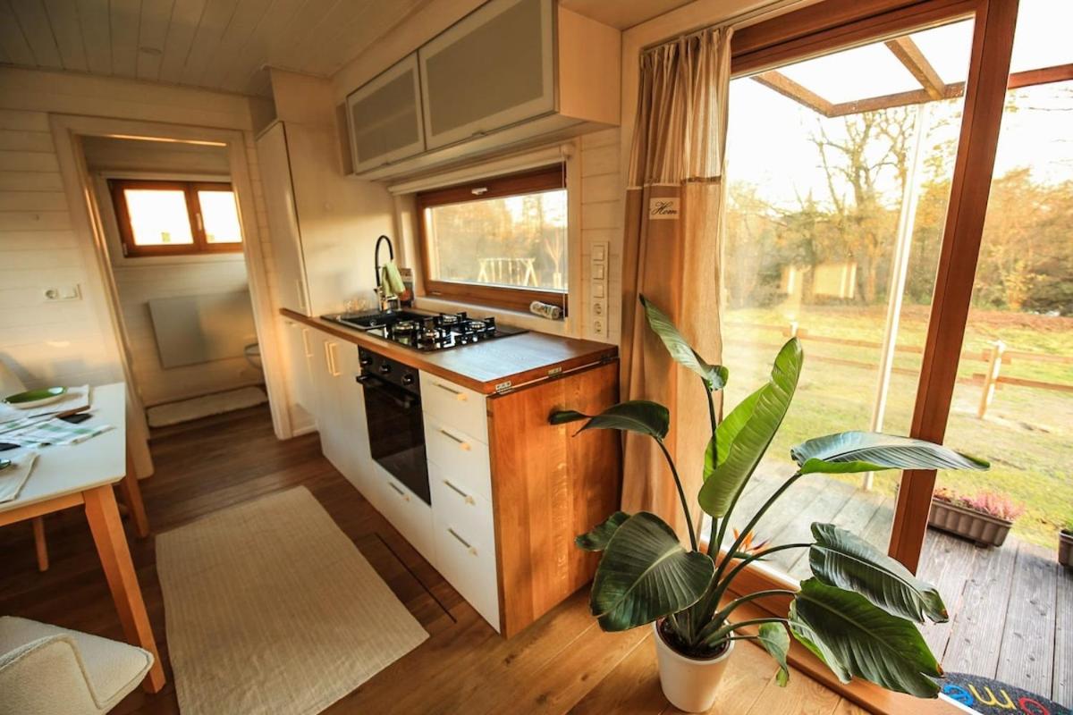 Tiny house with view of nature