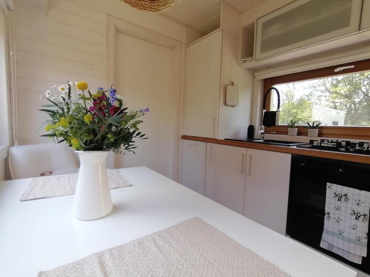 Tiny house with view of nature