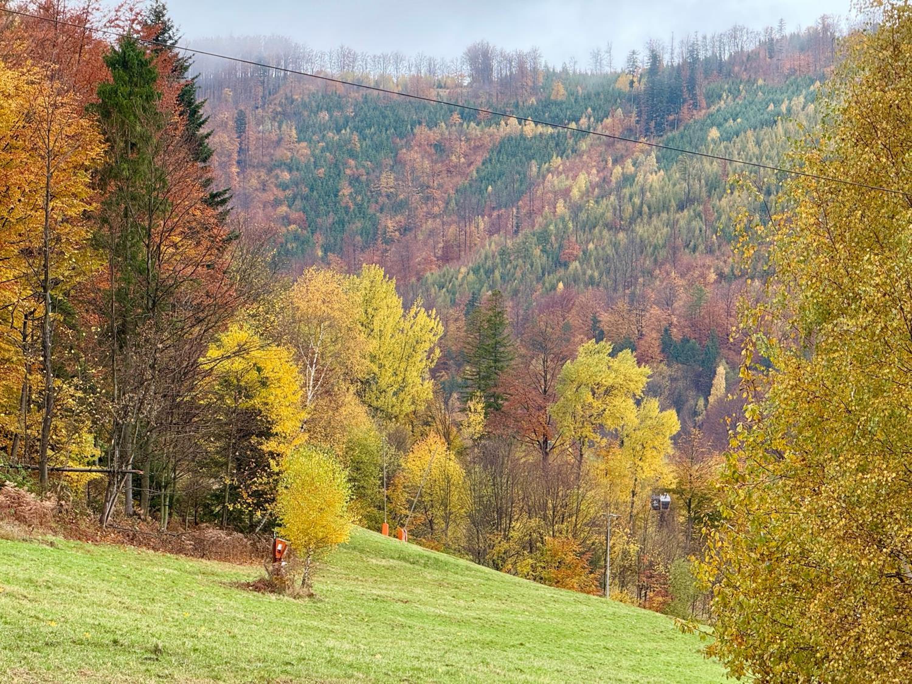 Bella Monte