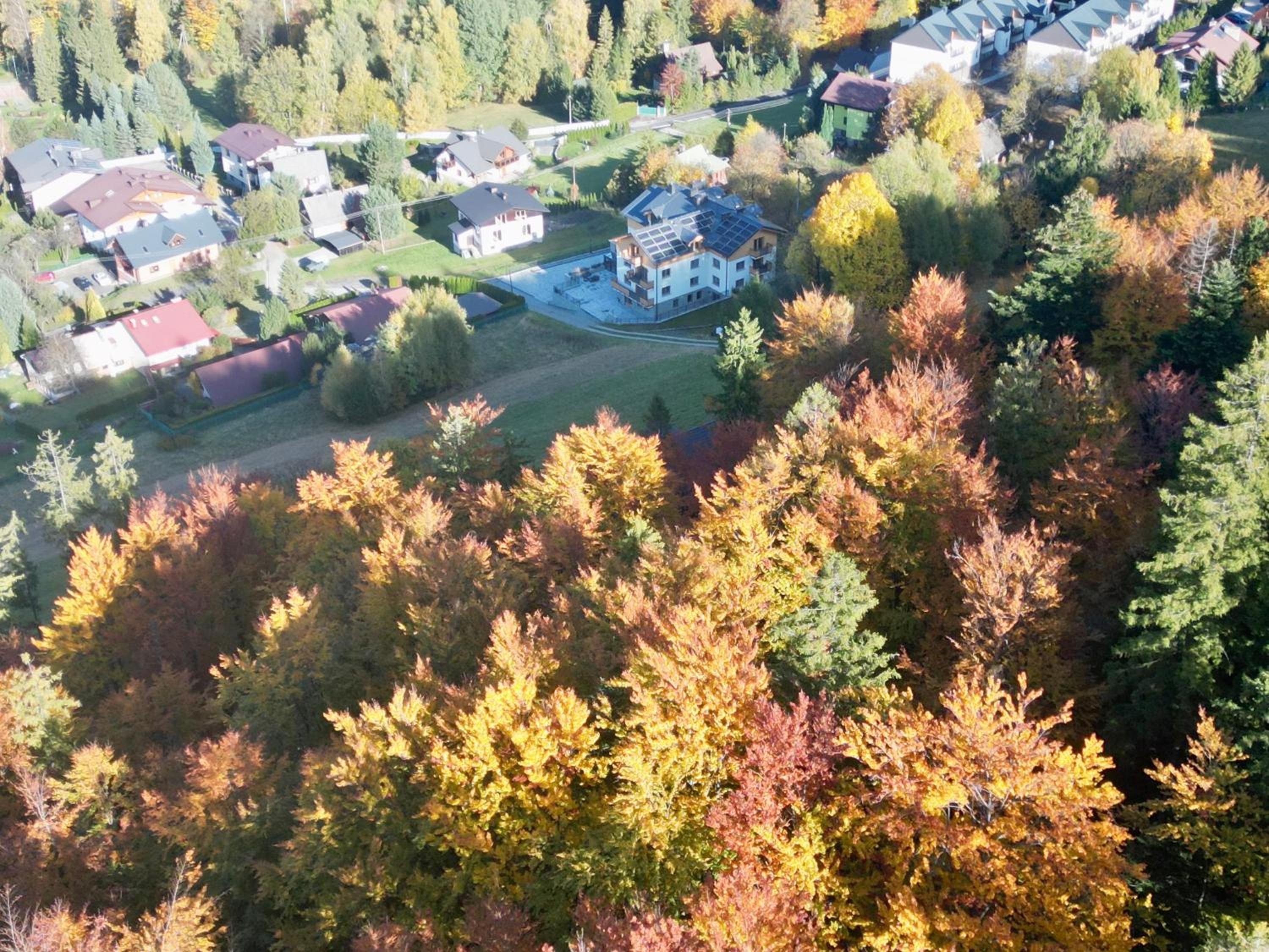 Bella Monte