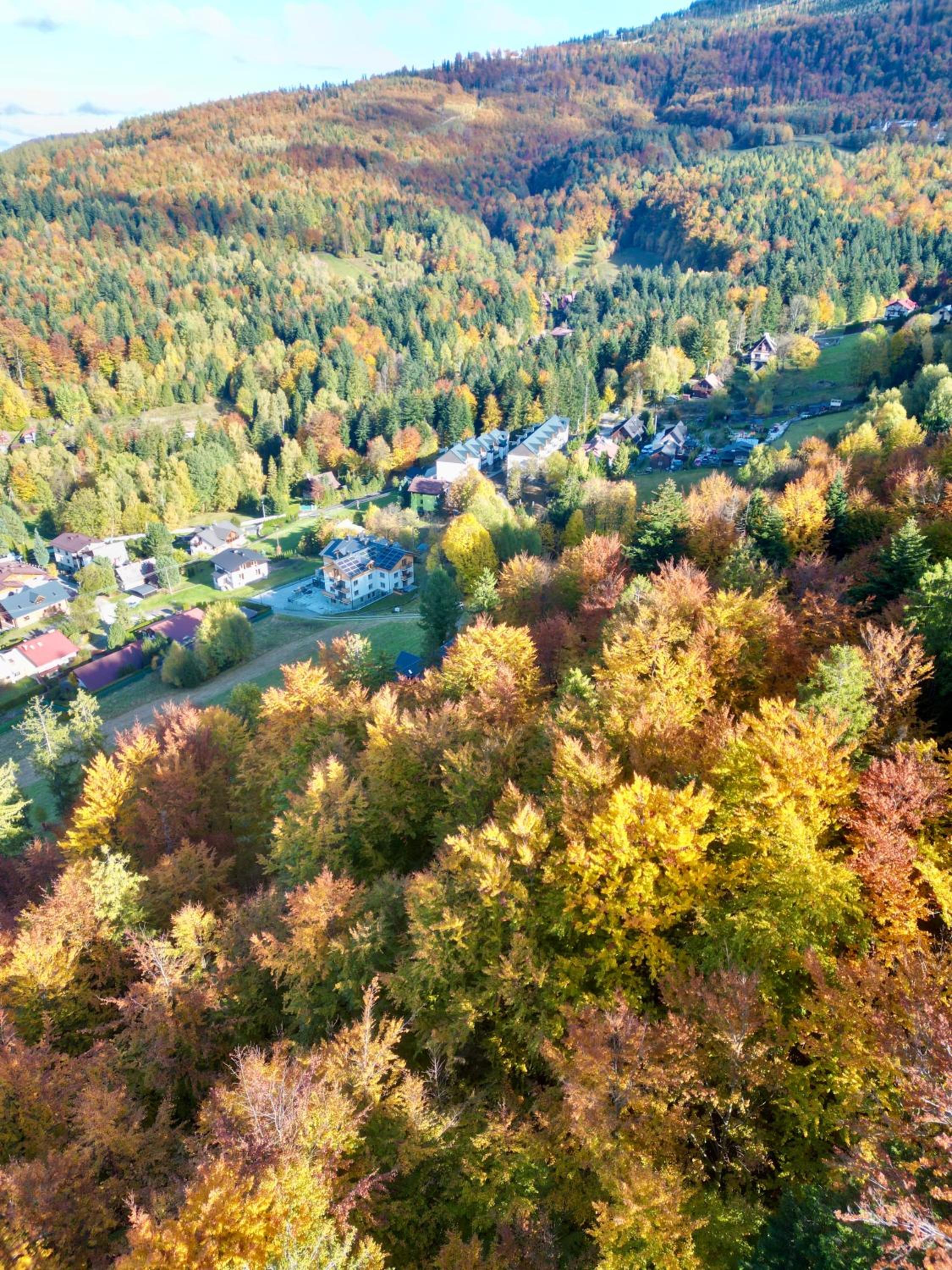 Bella Monte