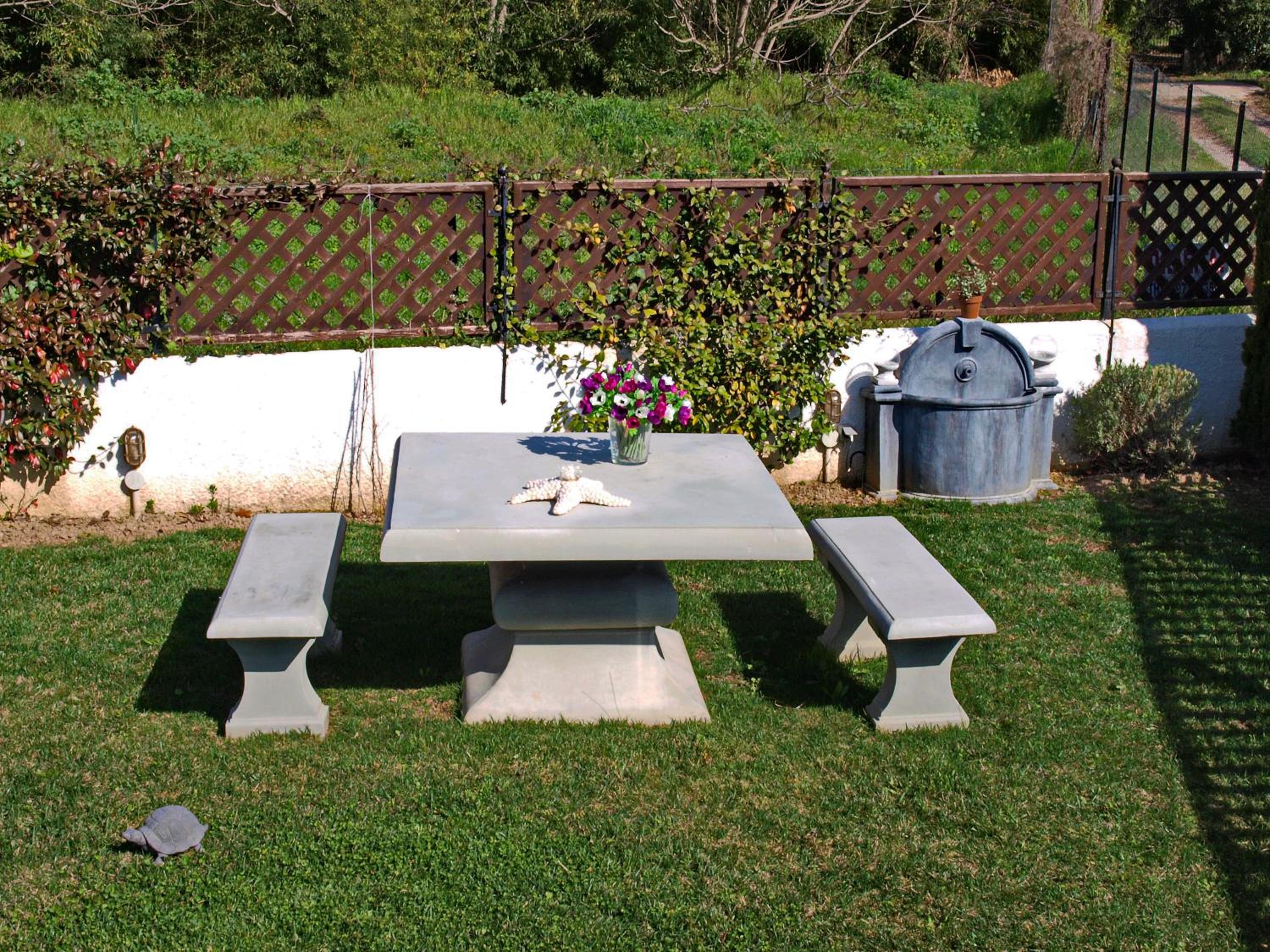 Photo 31