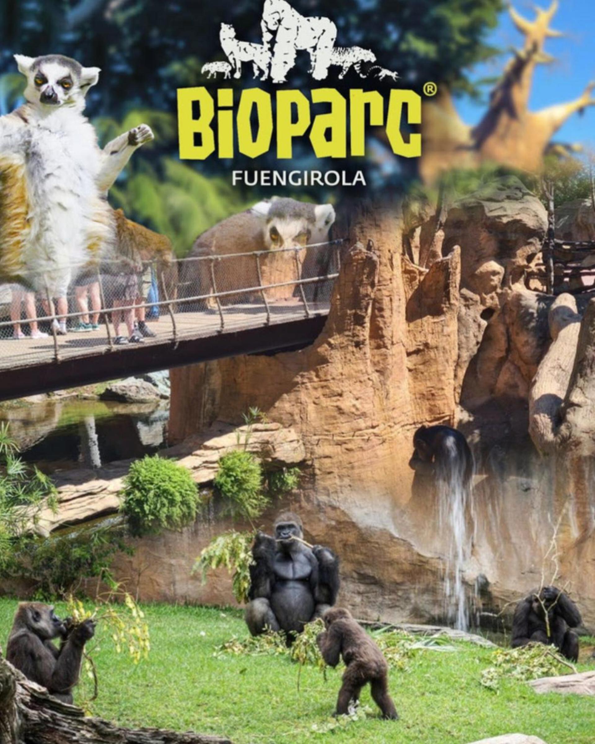 Apartamento nuevo con parking y piscina gratis