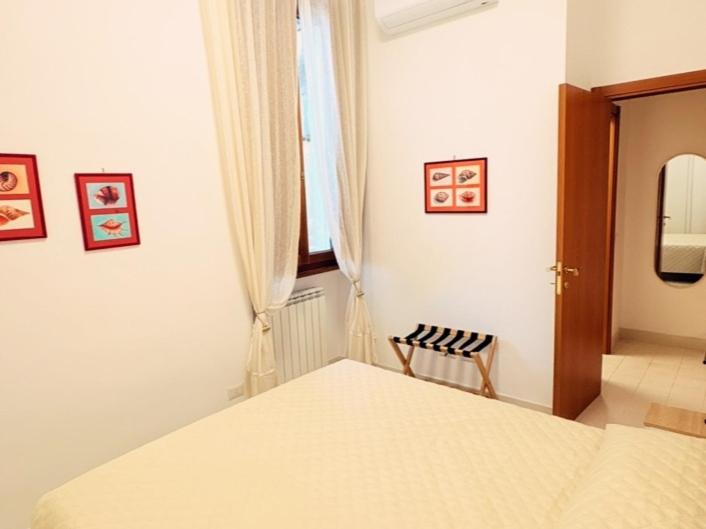 Tasso Suite