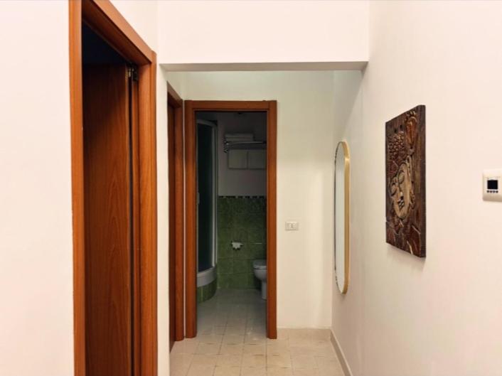 Tasso Suite