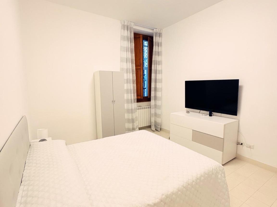 Tasso Suite