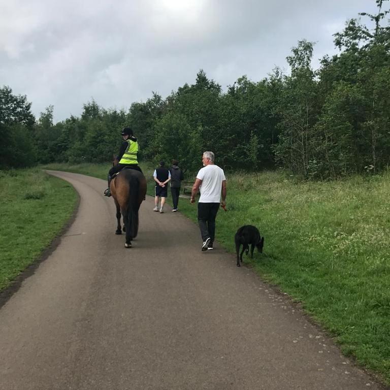 Hagg Hill Farm - Dog & Horse Friendly Near Newcastle