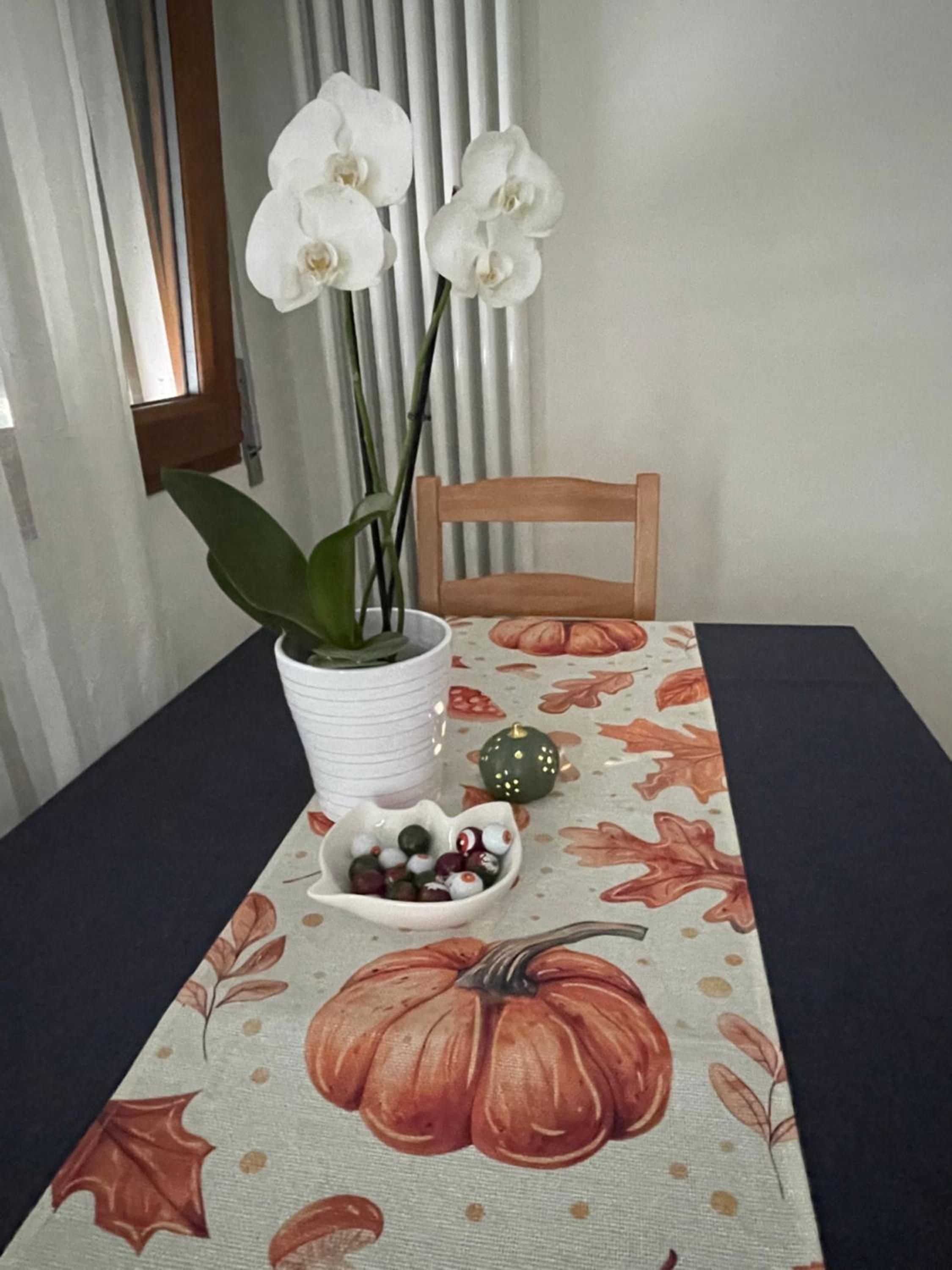 Surfer's Paradise holiday apartment