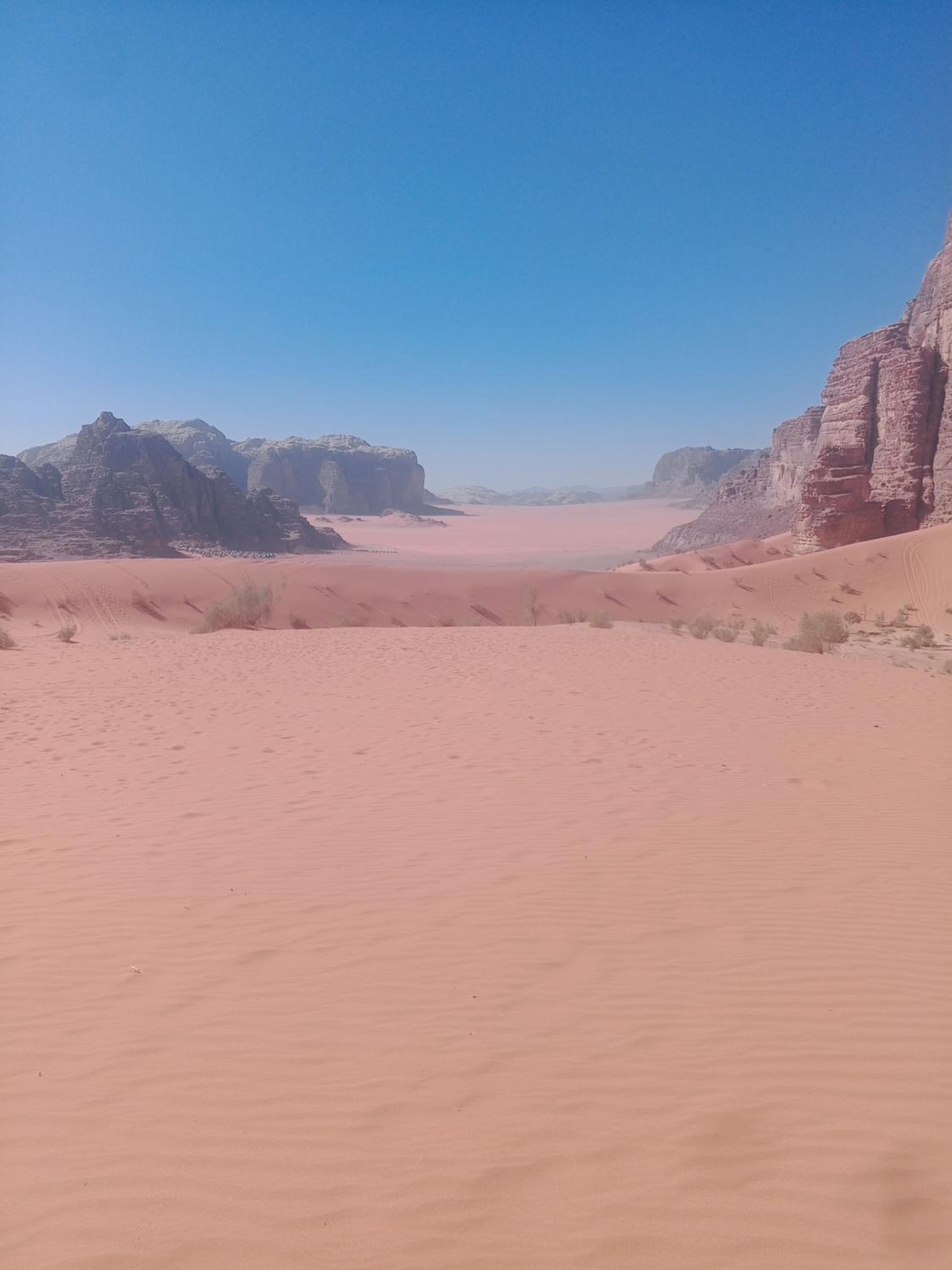 Rum Desert Silence Camp
