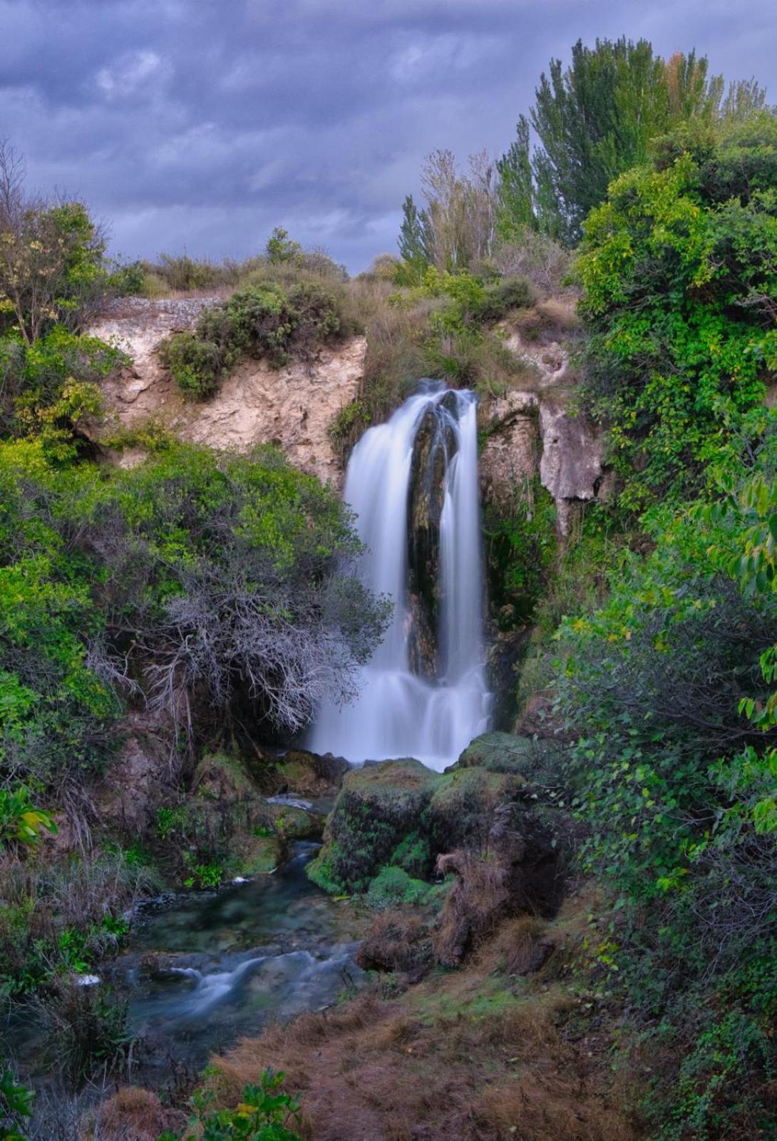 El Paraíso Del Rey
