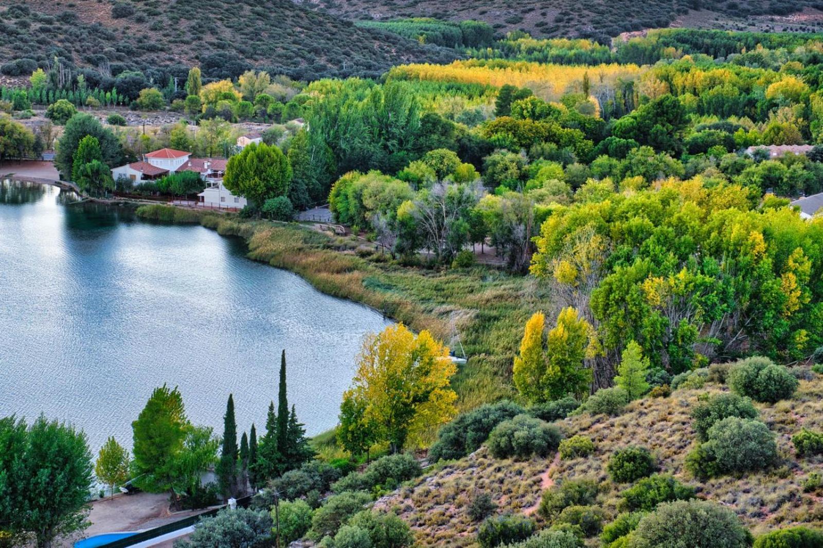 El Paraíso Del Rey