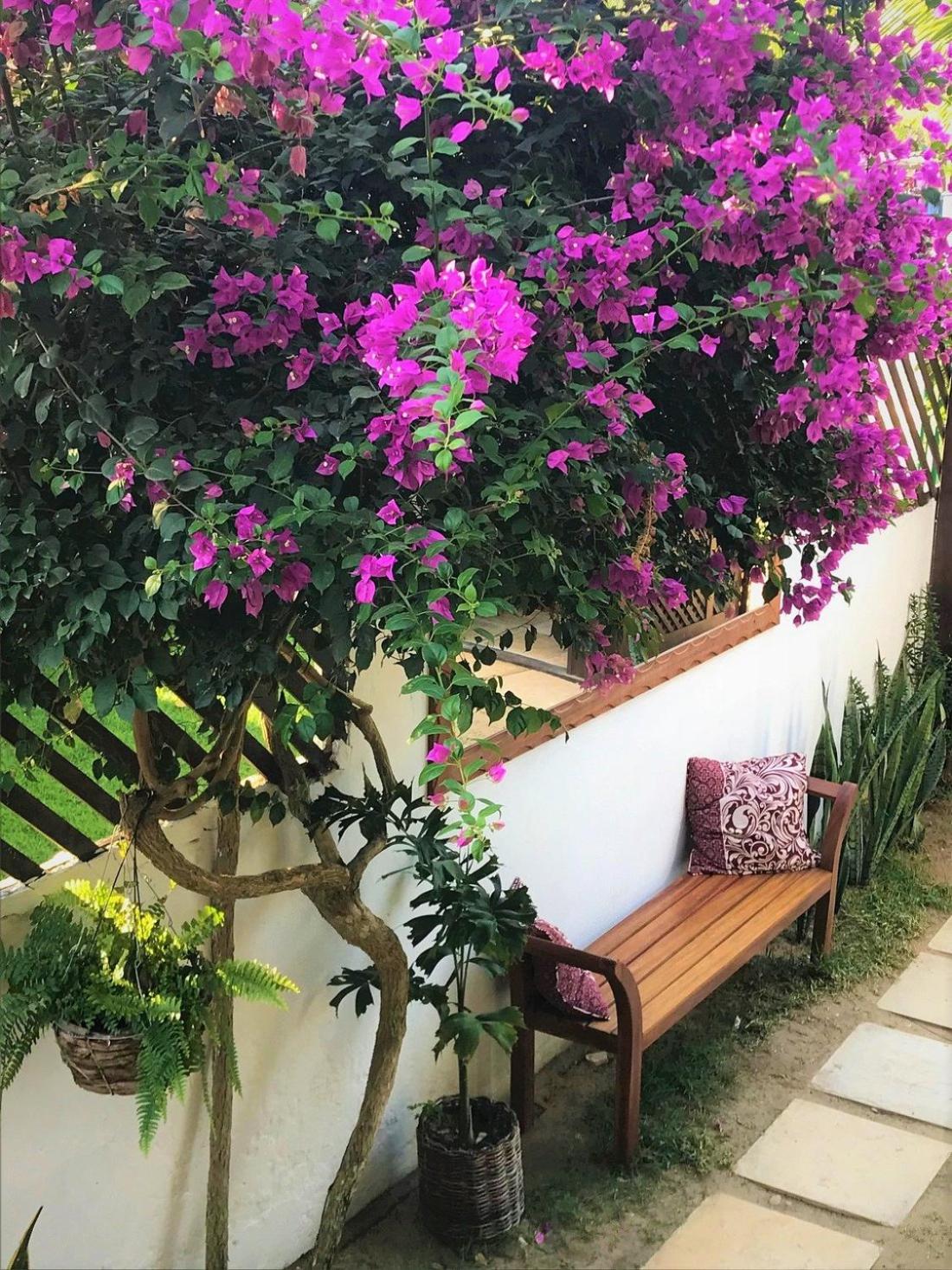 Villa Puglia Jeri