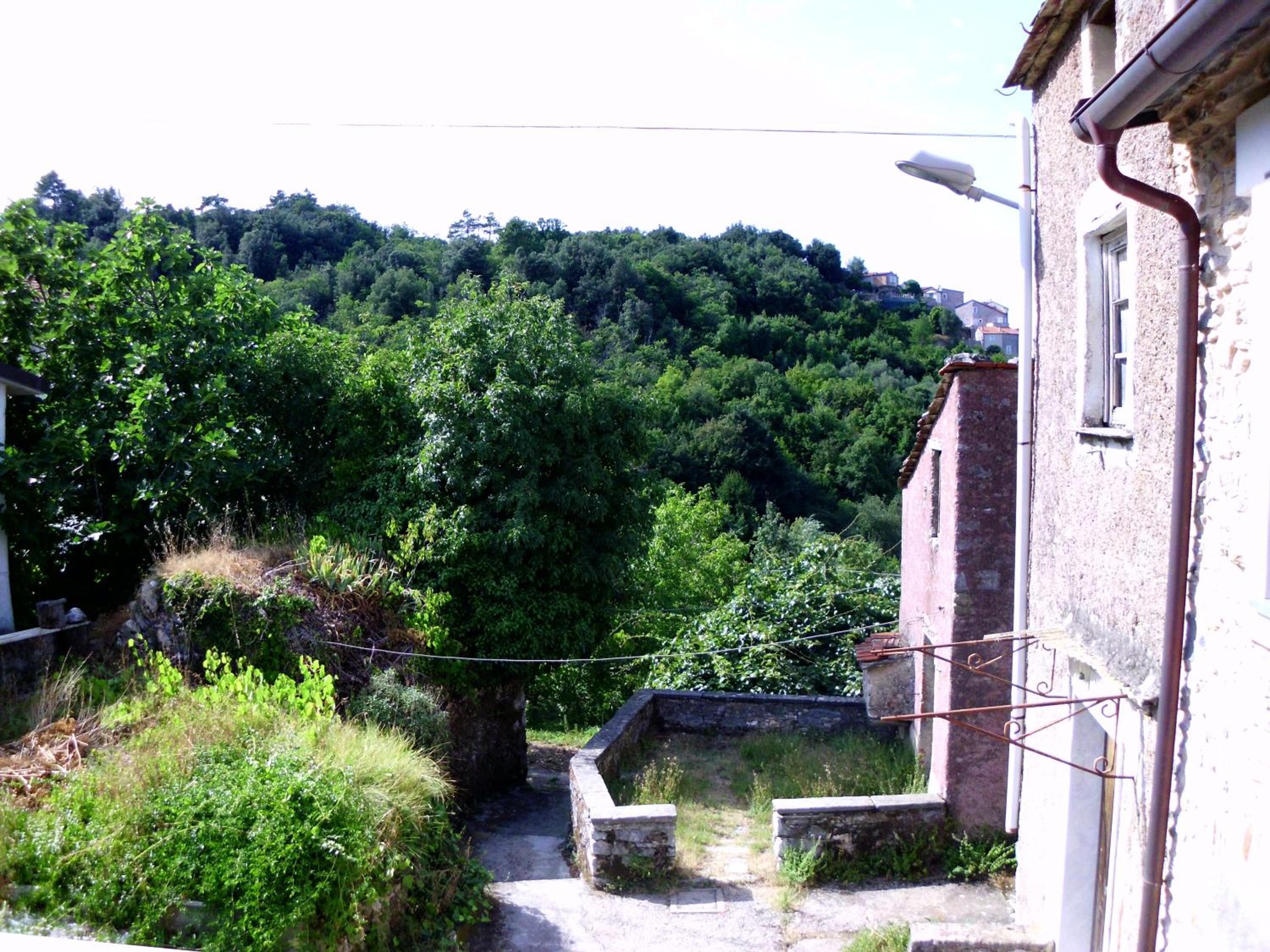 Photo 26