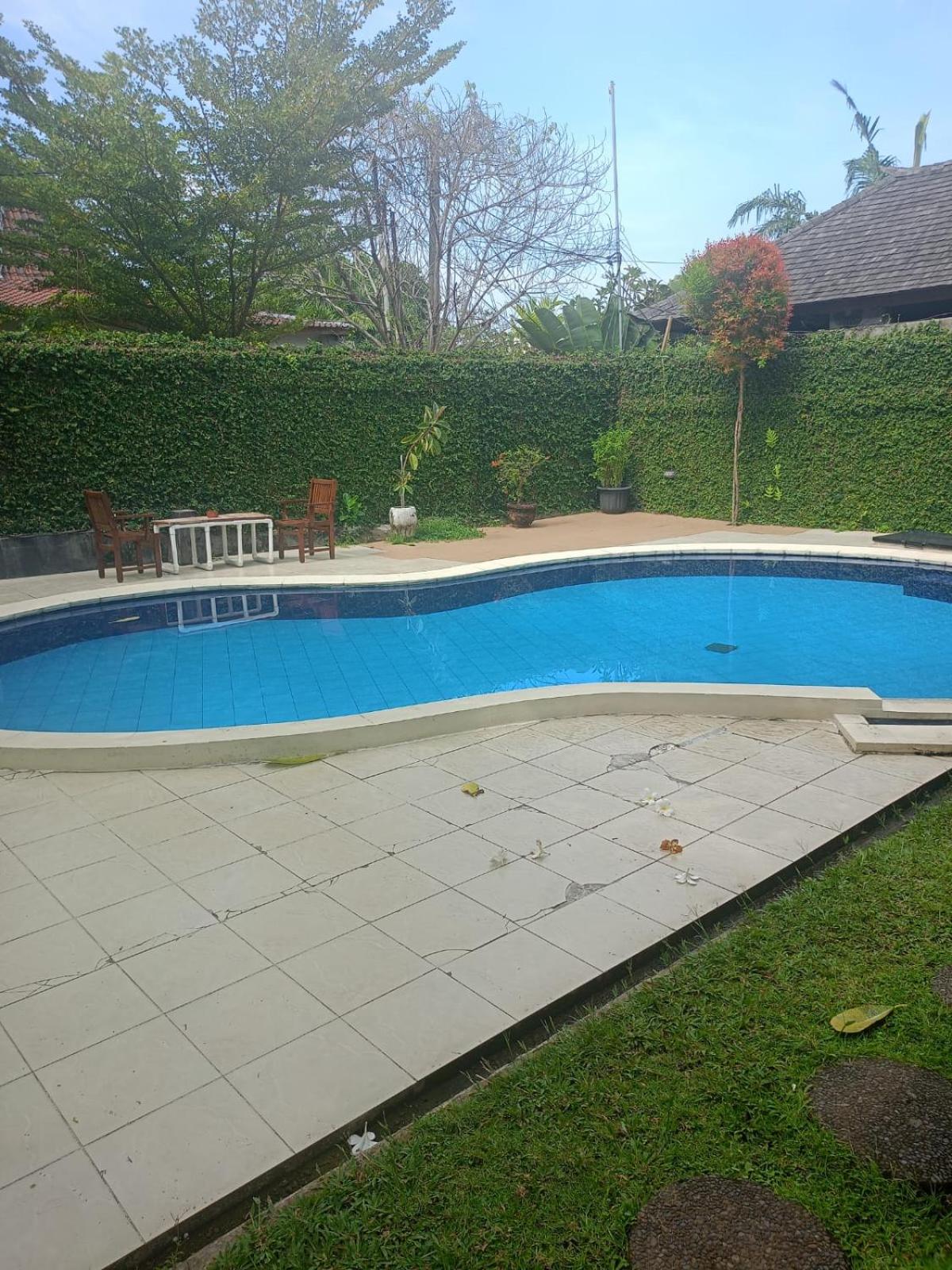 CASAVINA studio 304