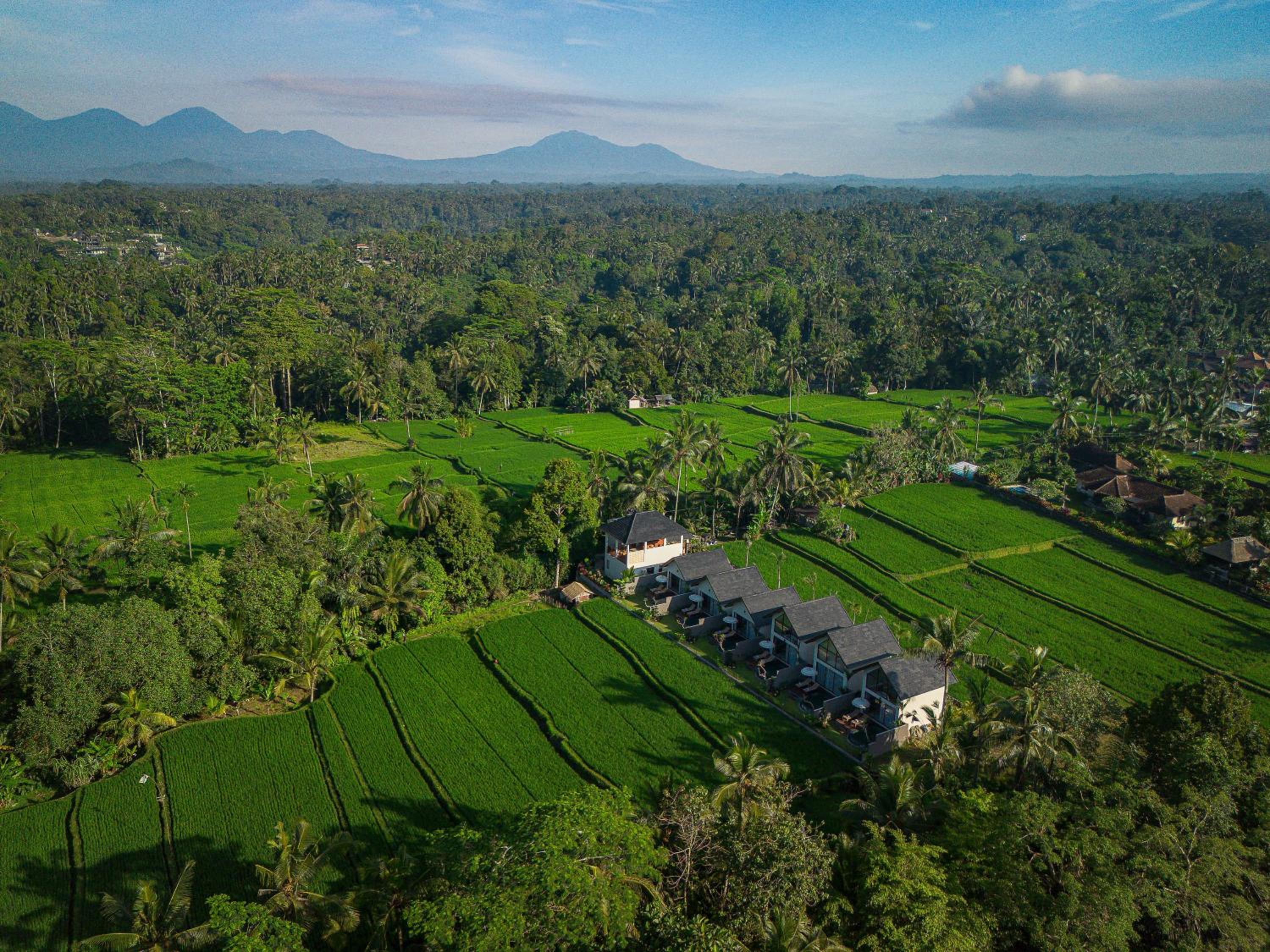 Ascarya Ubud