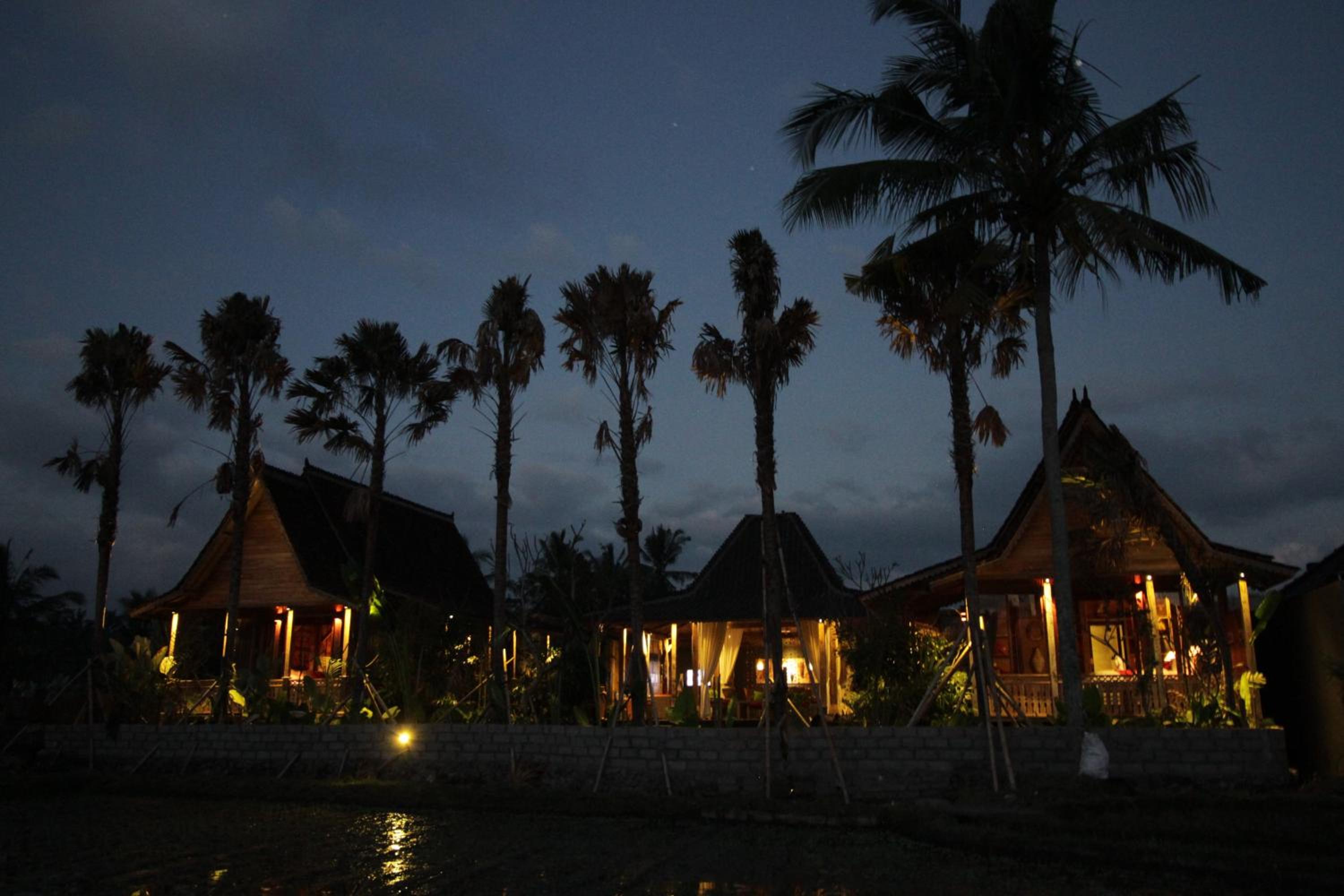 Ubud Virgin Villa