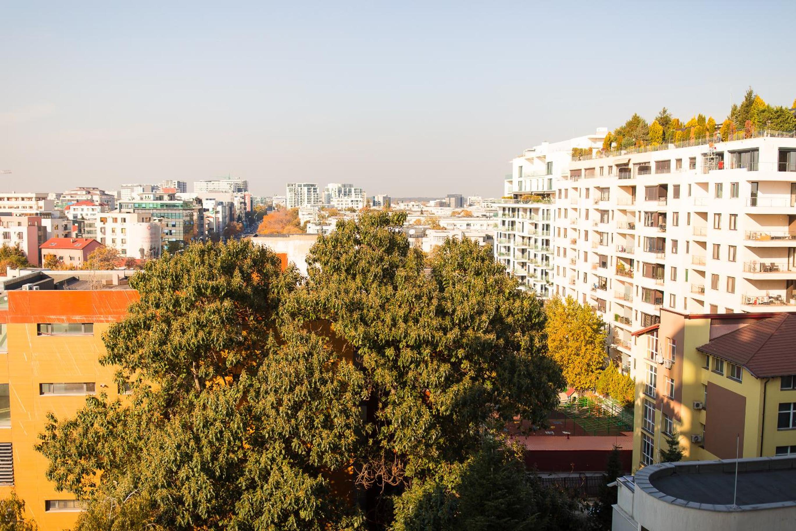 Premium Studio Apartment in Herastrau with City View