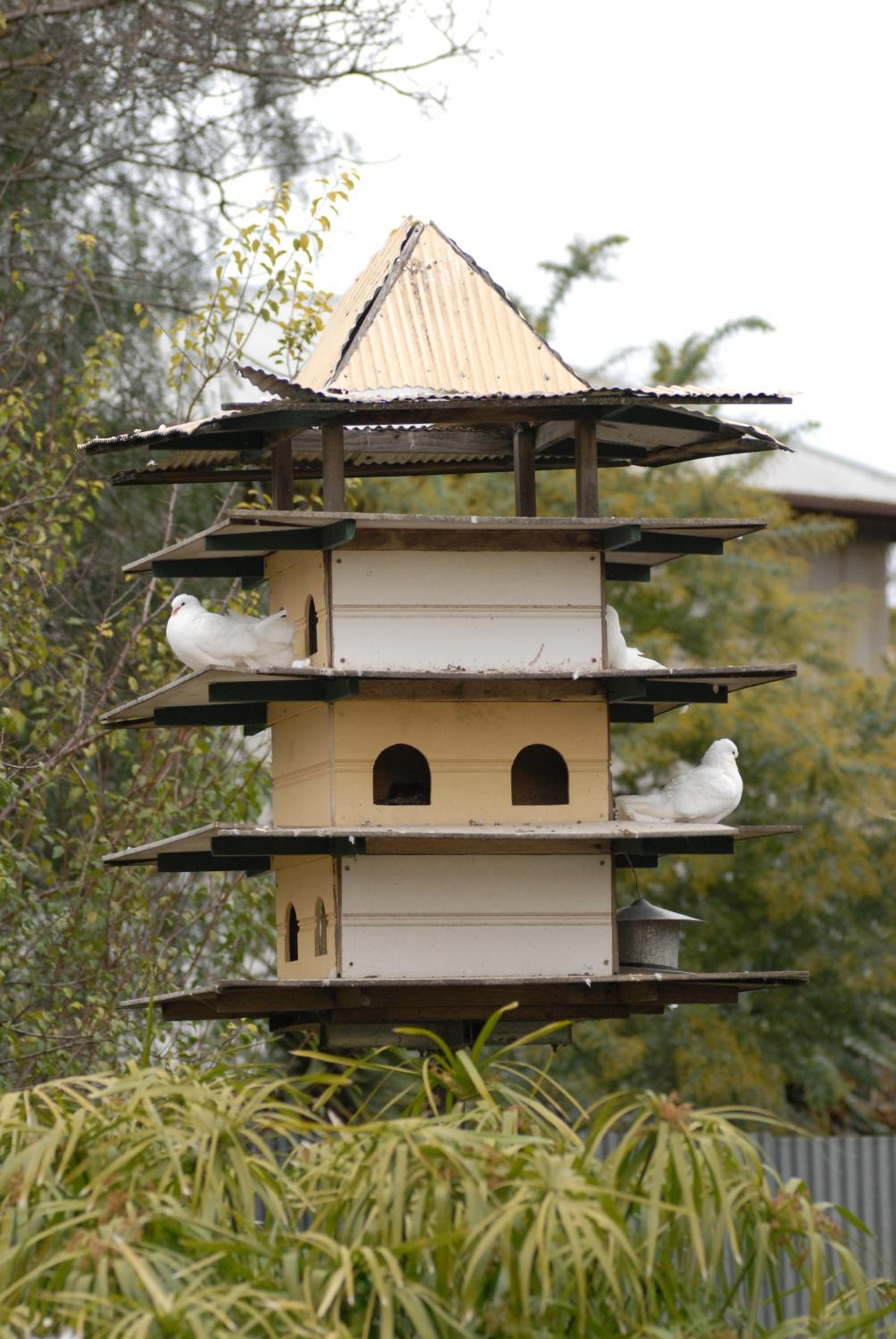 The Dove Cote
