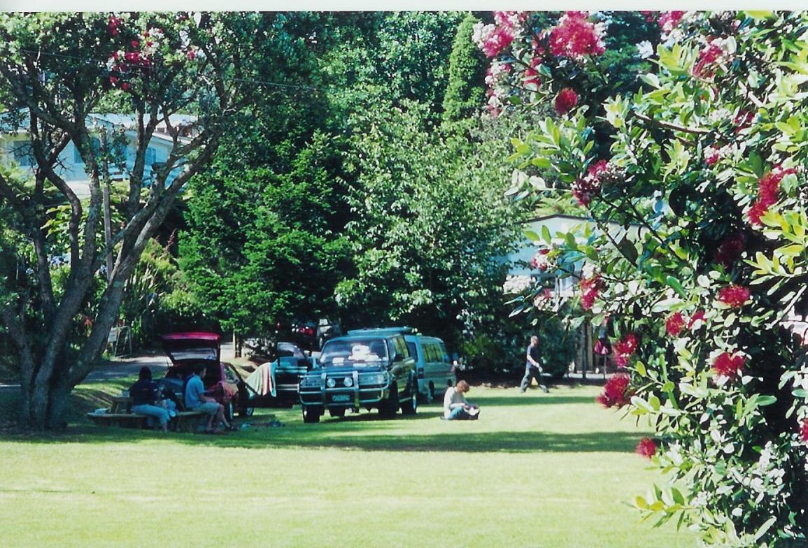Egmont Eco Leisure Park & Backpackers
