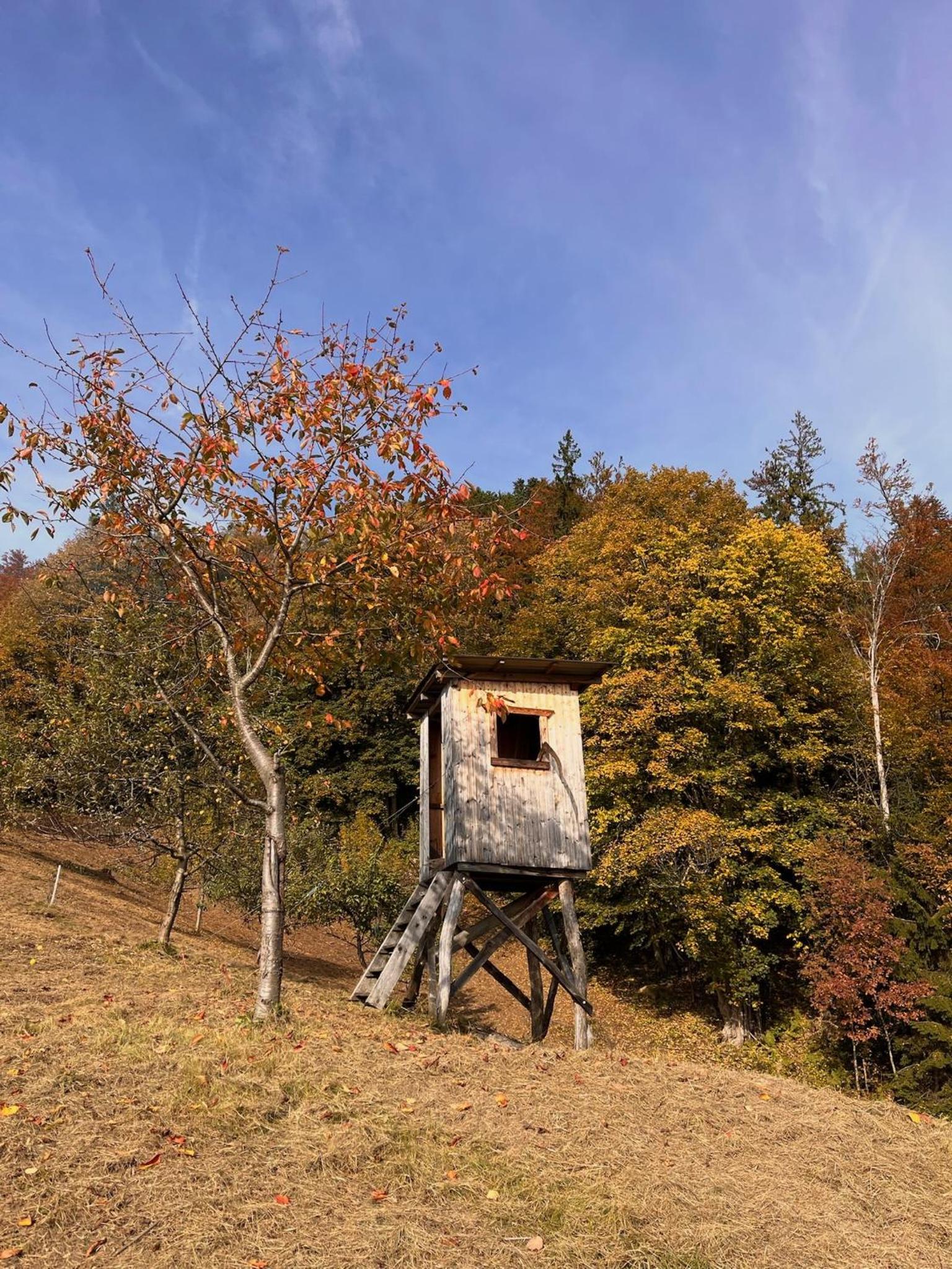 Sedmakovo - Počitniška hiša v naravi - Ljubno ob Savinji