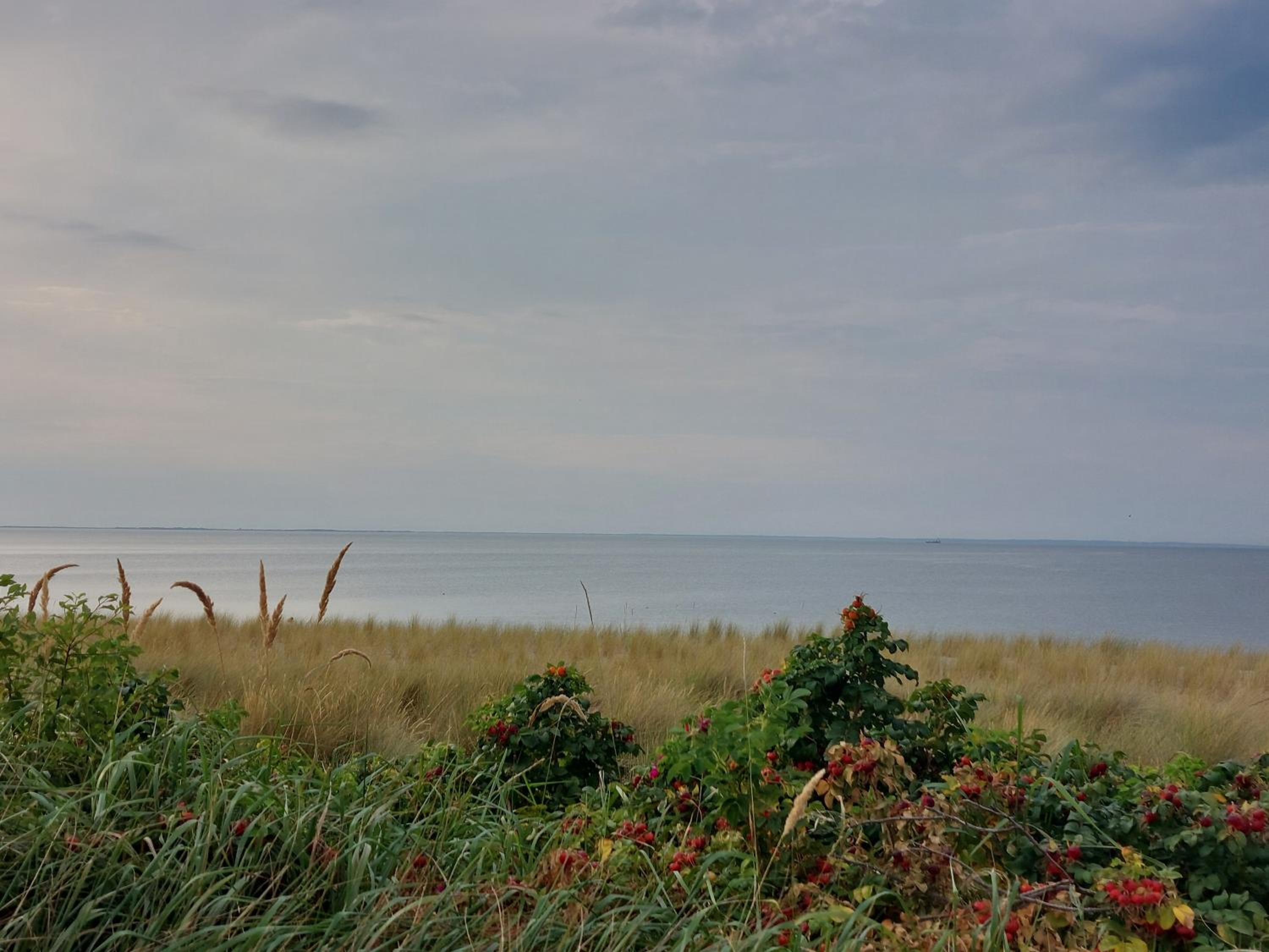 Ferienwohnungen Kienast