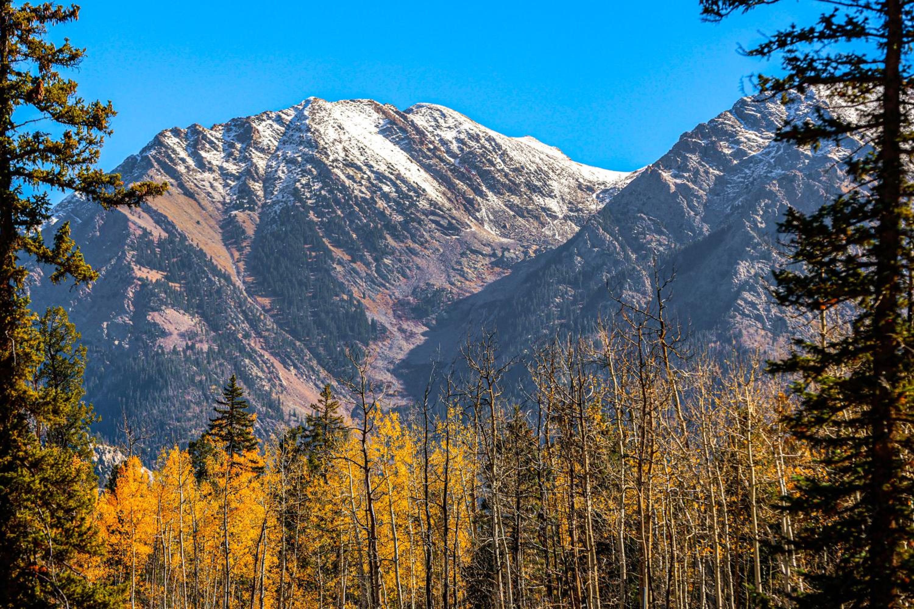 Stunning San Juan Mtn Views Cabin Near Skiing!
