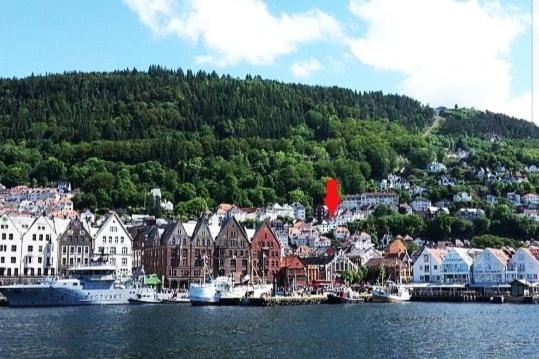 2-roms leilighet med spektakulær utsikt og privat hage