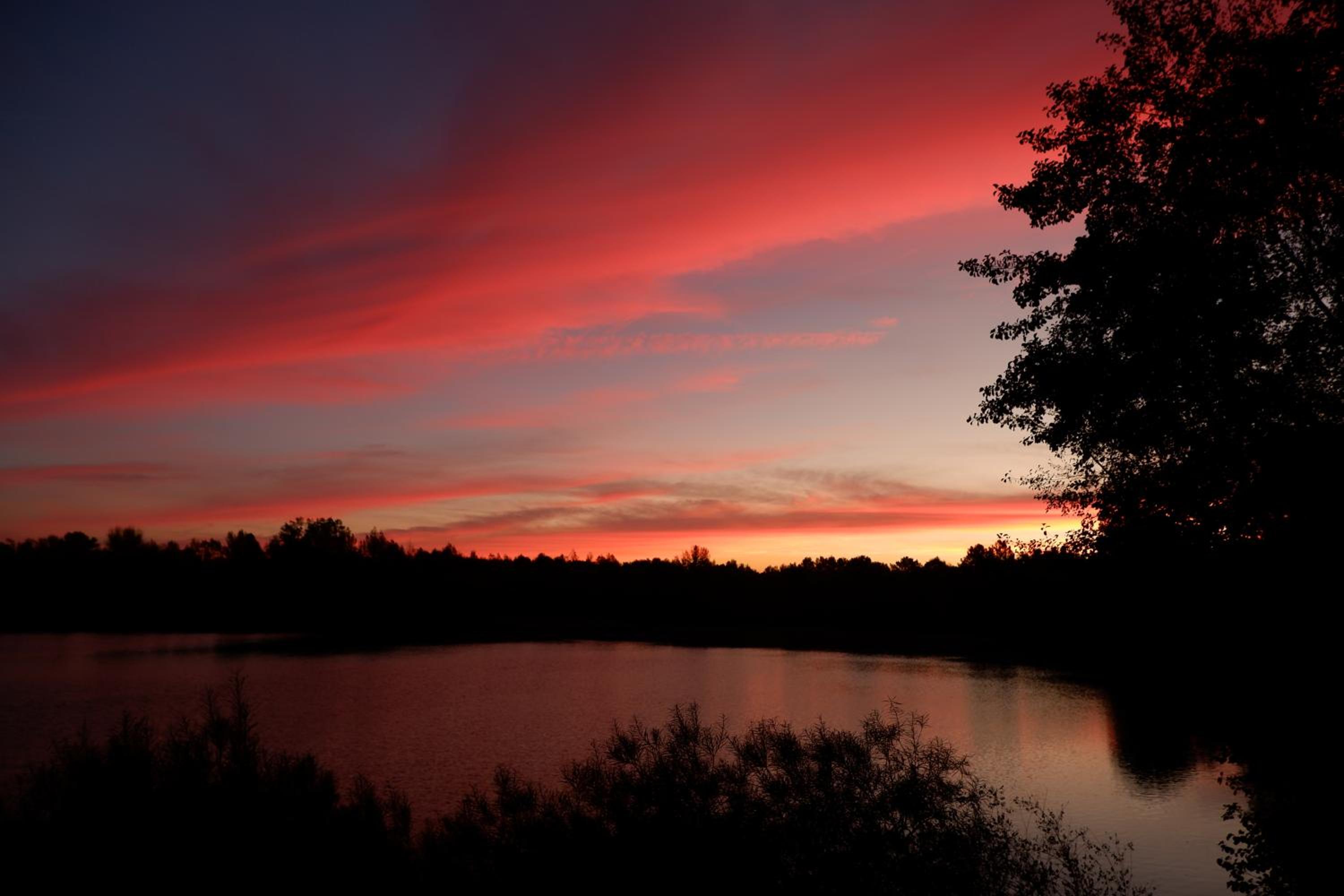 La Terrasse du Lac