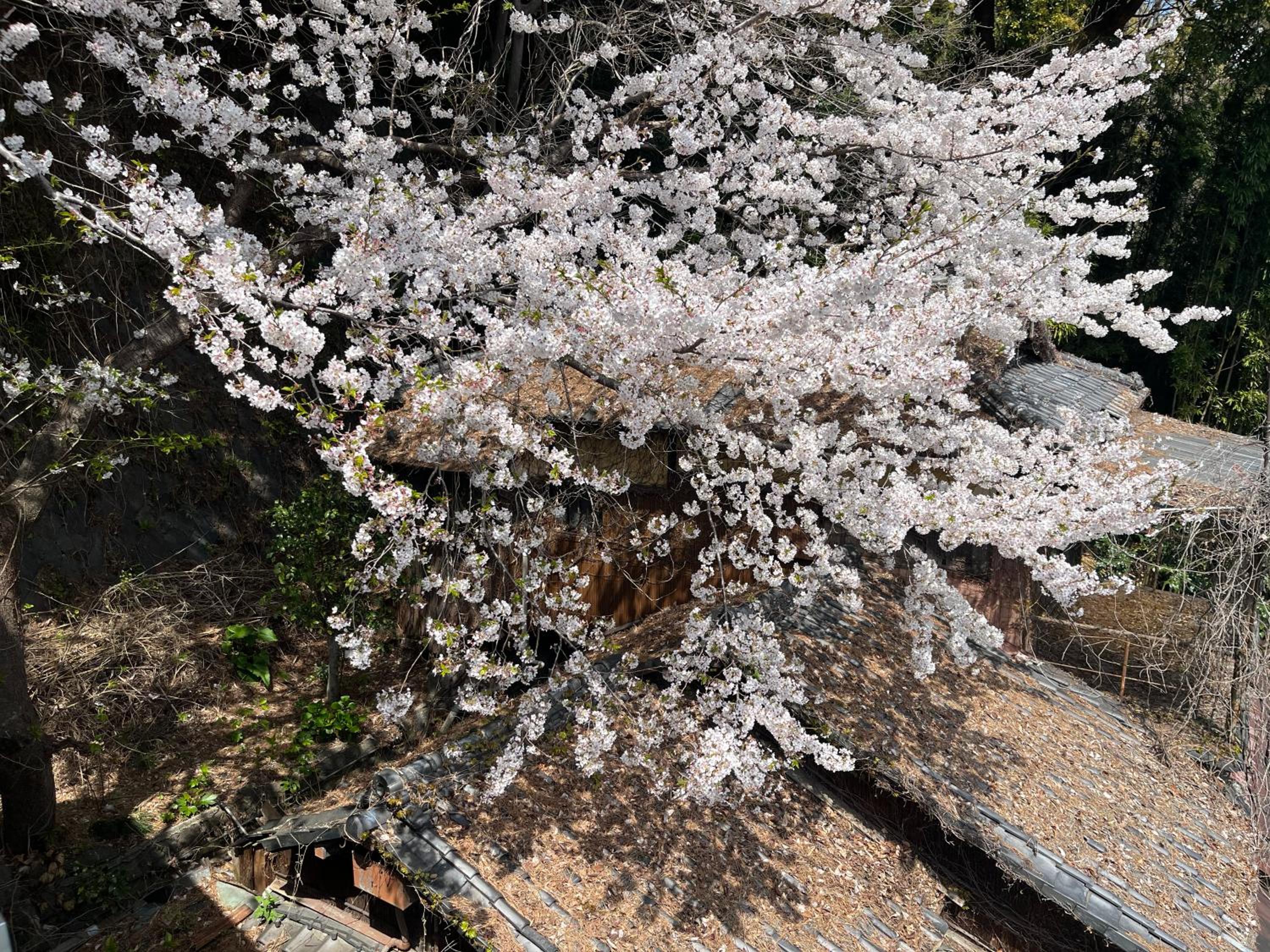 Cottage Atami Momoyama-choコテージ熱海桃山町
