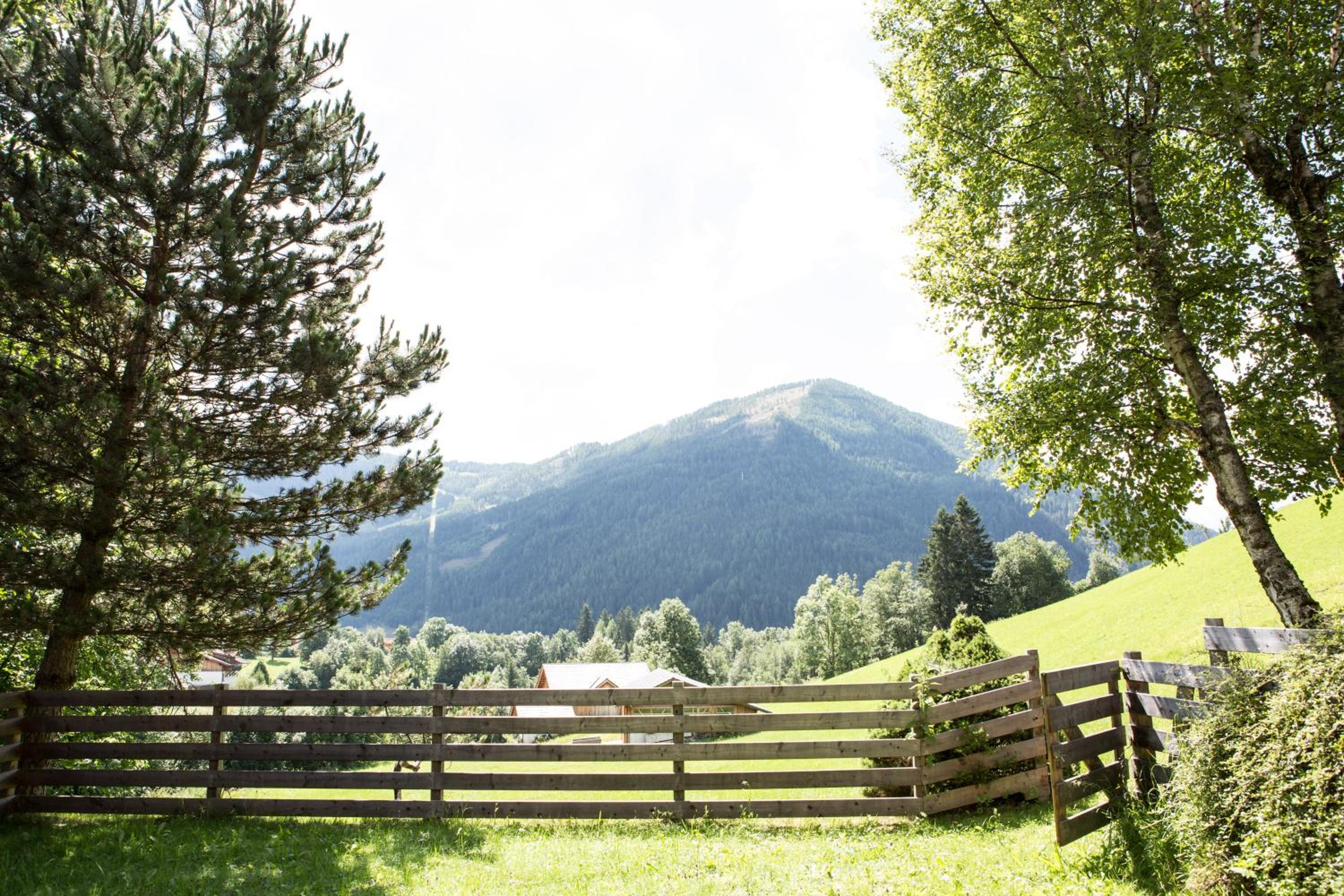 Ferienhaus Sara Bad Kleinkirchheim