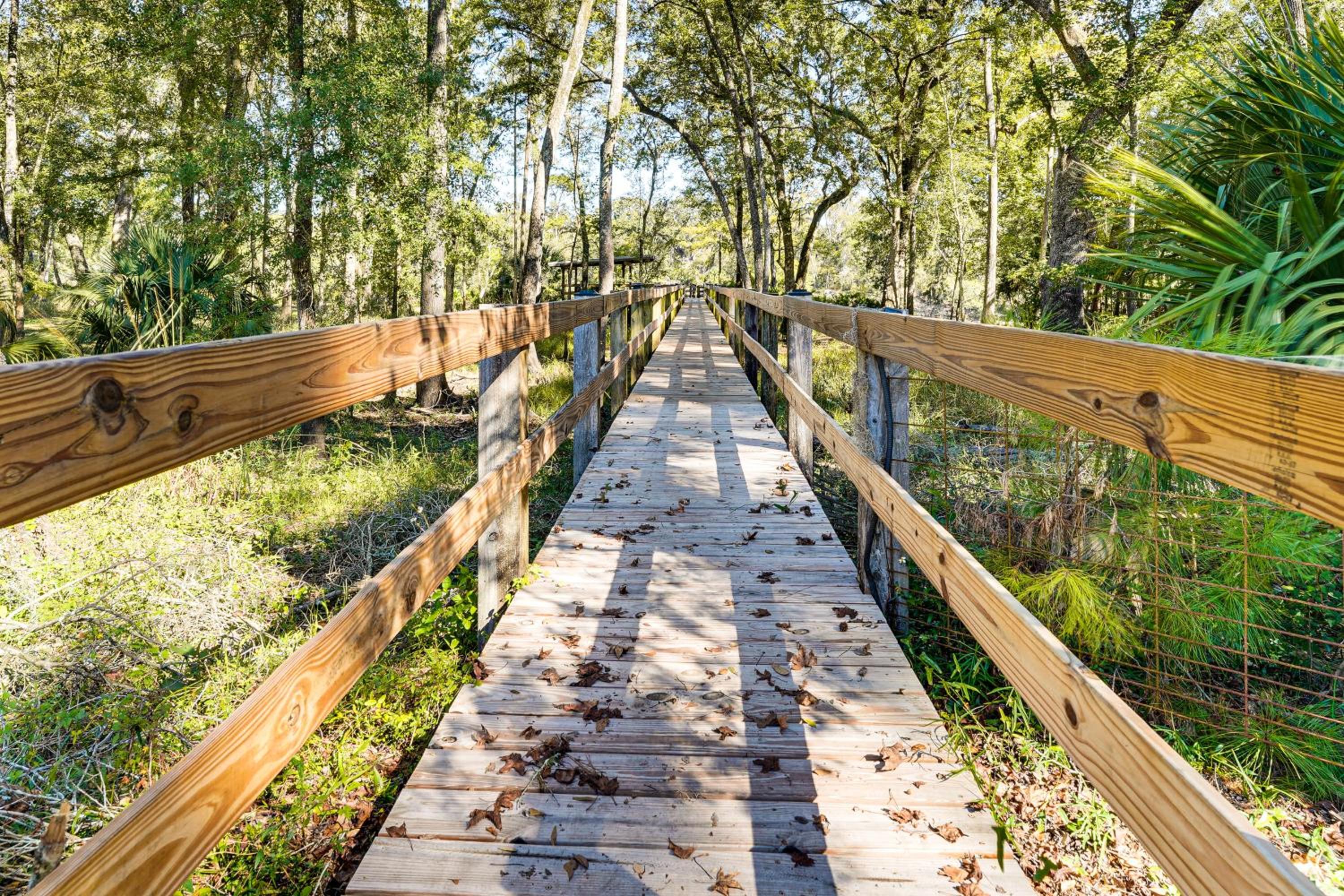Suwannee River Retreat Pet Friendly, Private Dock