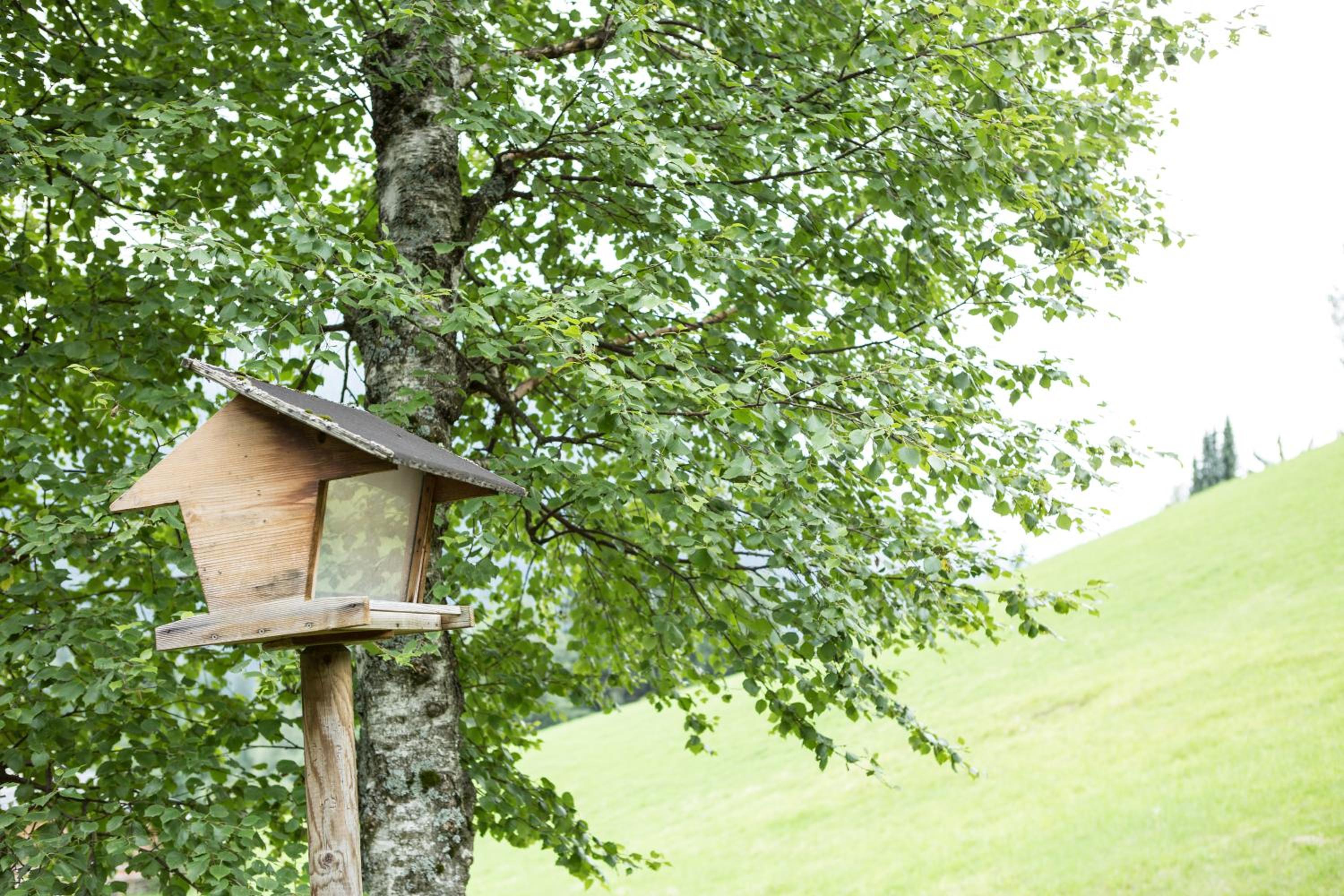 Ferienhaus Sara Bad Kleinkirchheim