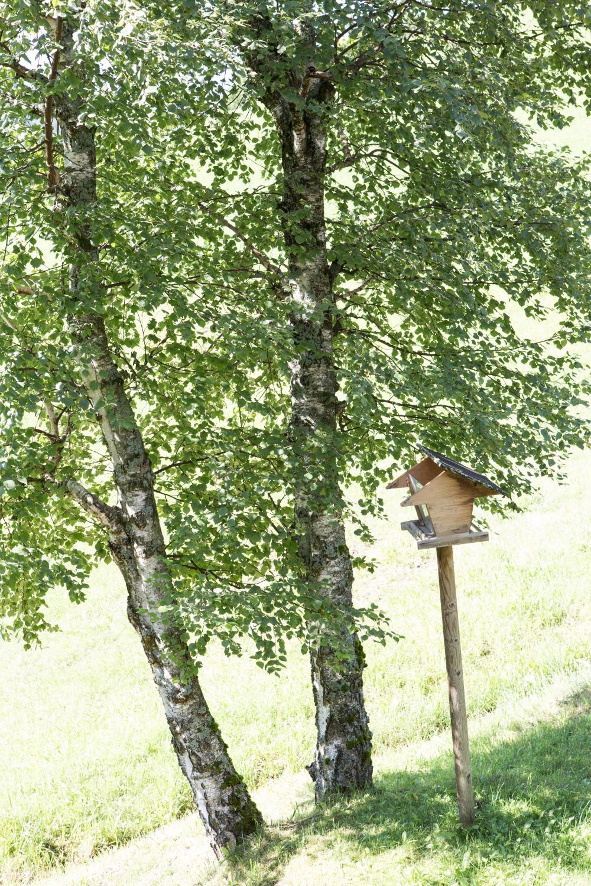 Ferienhaus Sara Bad Kleinkirchheim