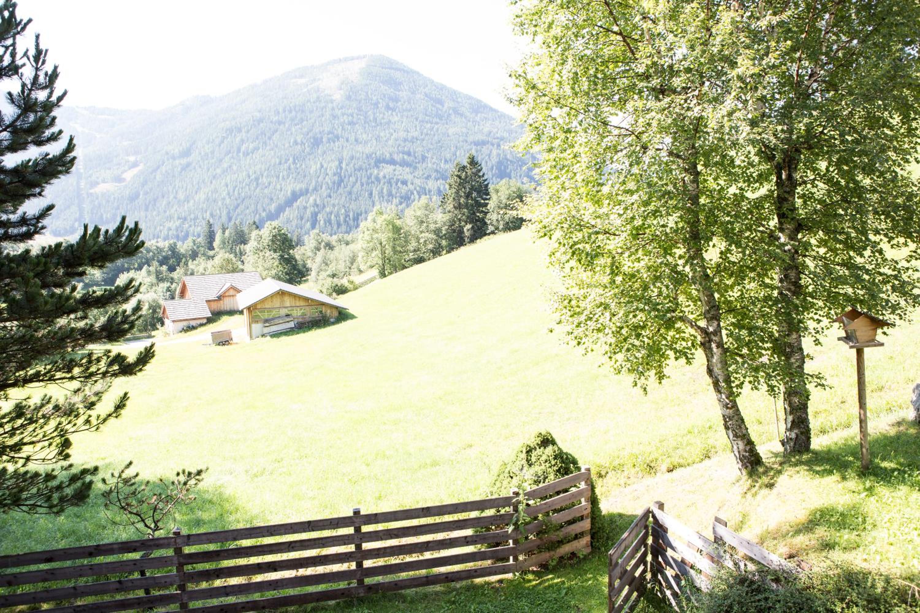 Ferienhaus Sara Bad Kleinkirchheim