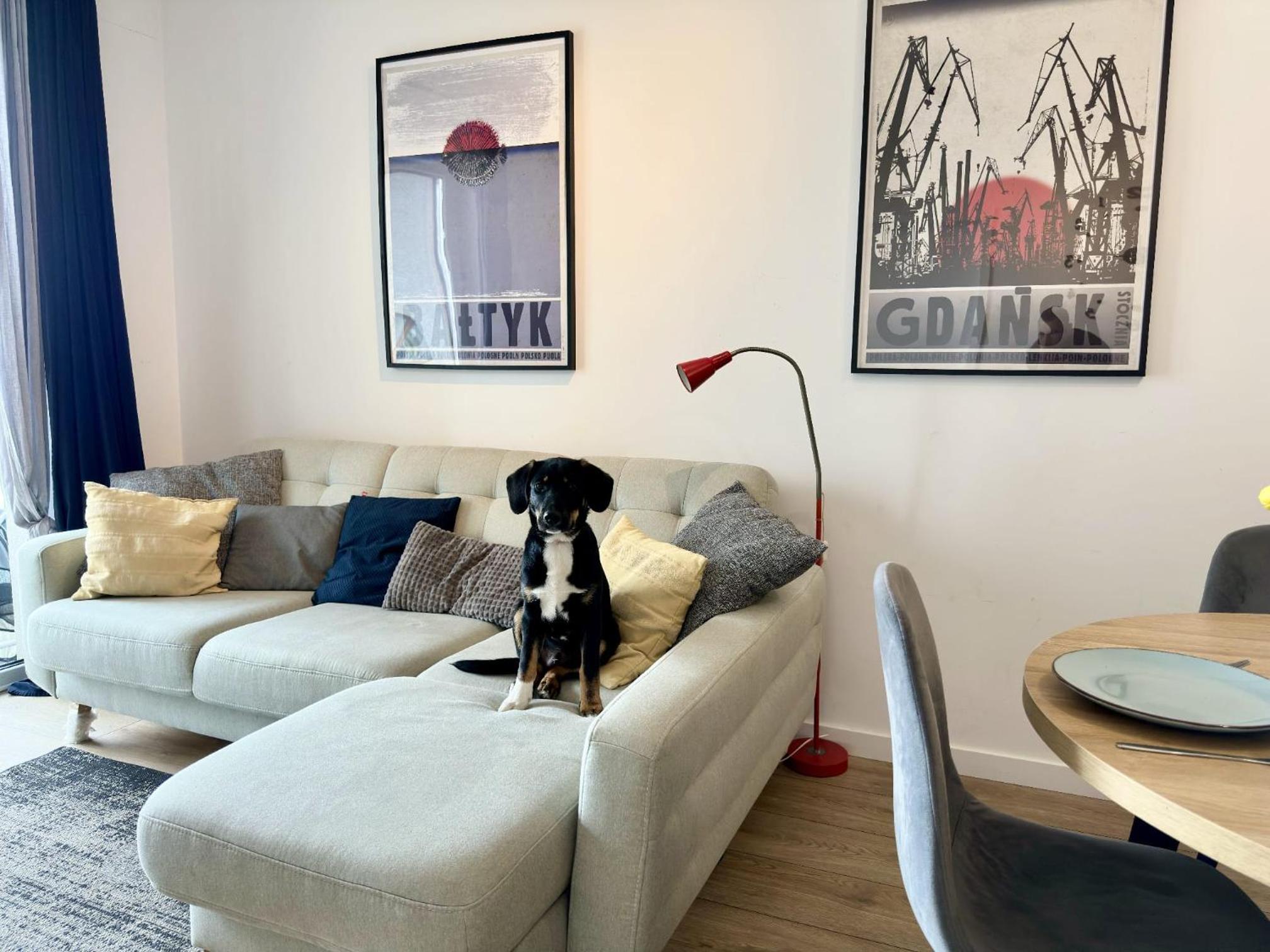 LILY APART - Coworking, gym, indoor playground & pet friendly
