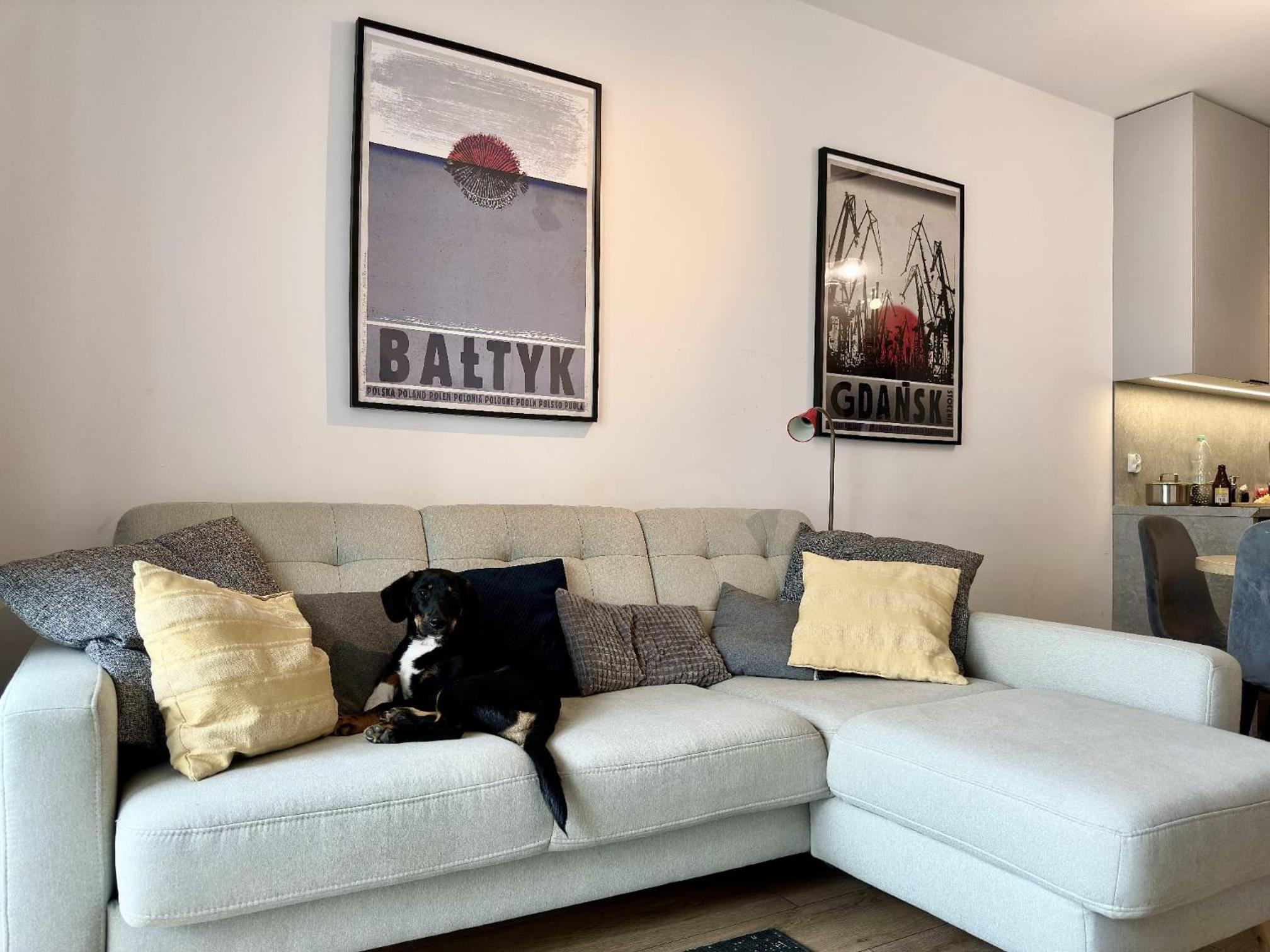 LILY APART - Coworking, gym, indoor playground & pet friendly