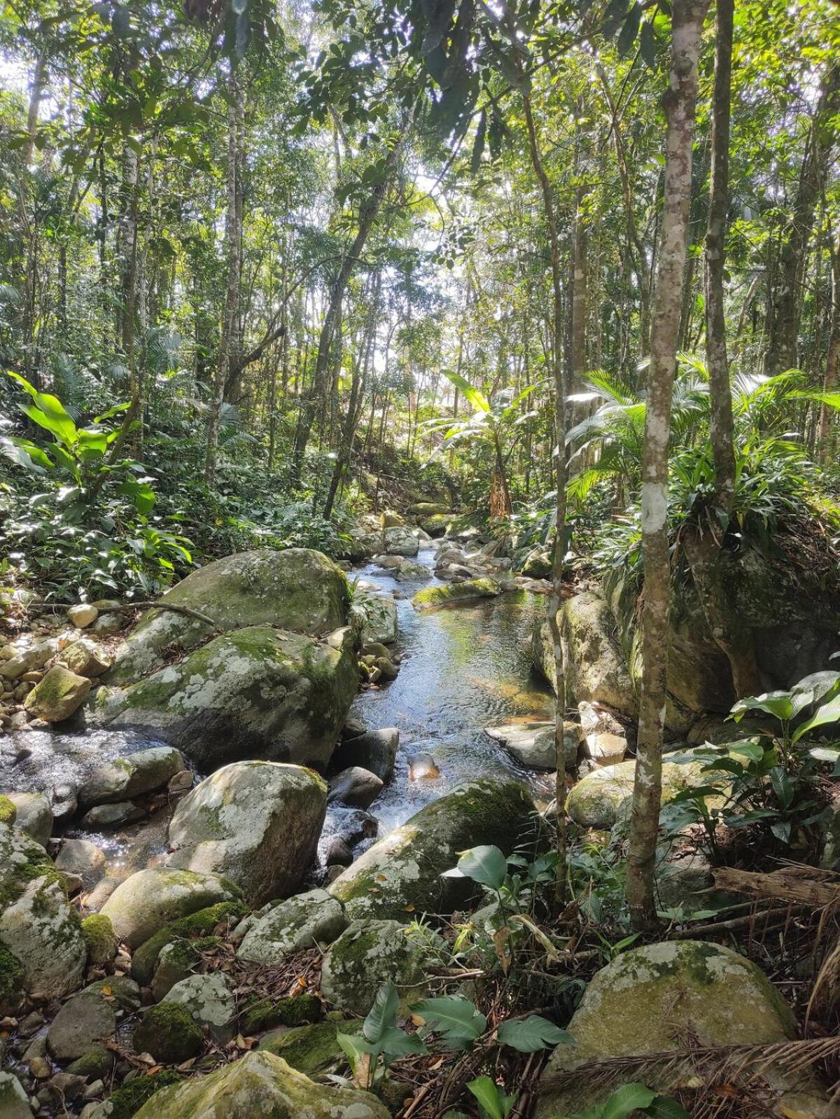 Cabana Beija Flor, a nest in nature