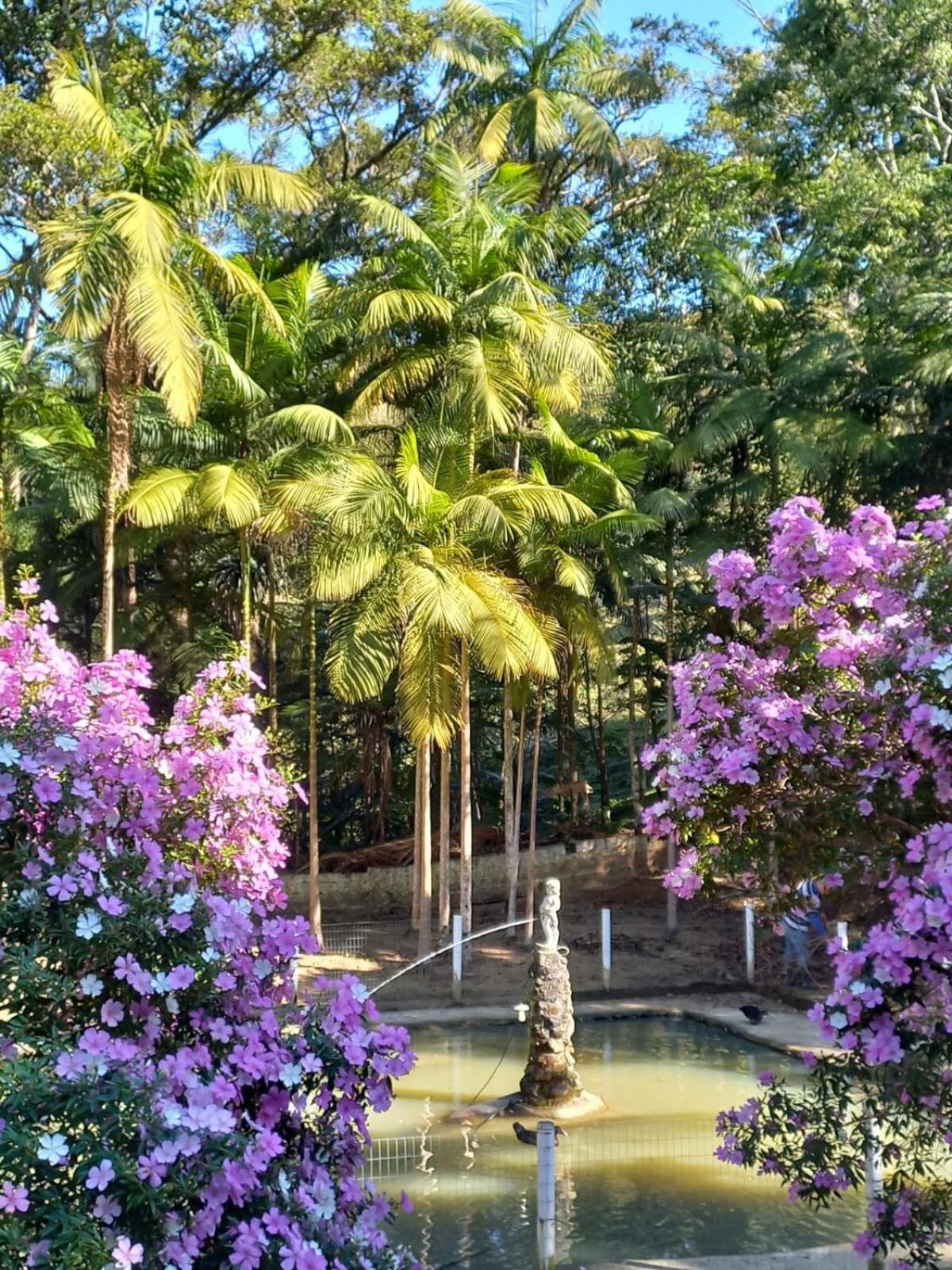 Cabana Beija Flor, a nest in nature