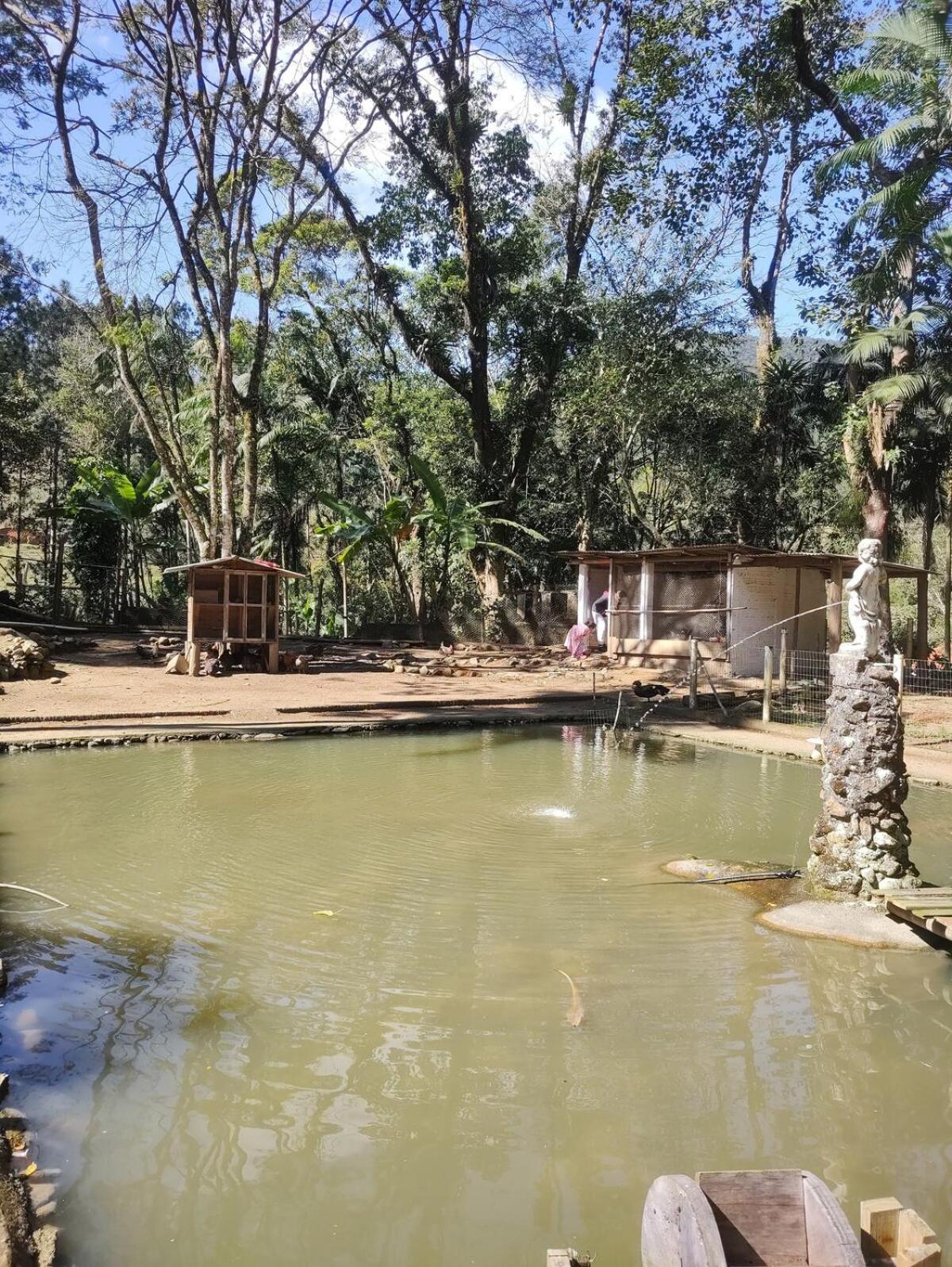 Cabana Beija Flor, a nest in nature