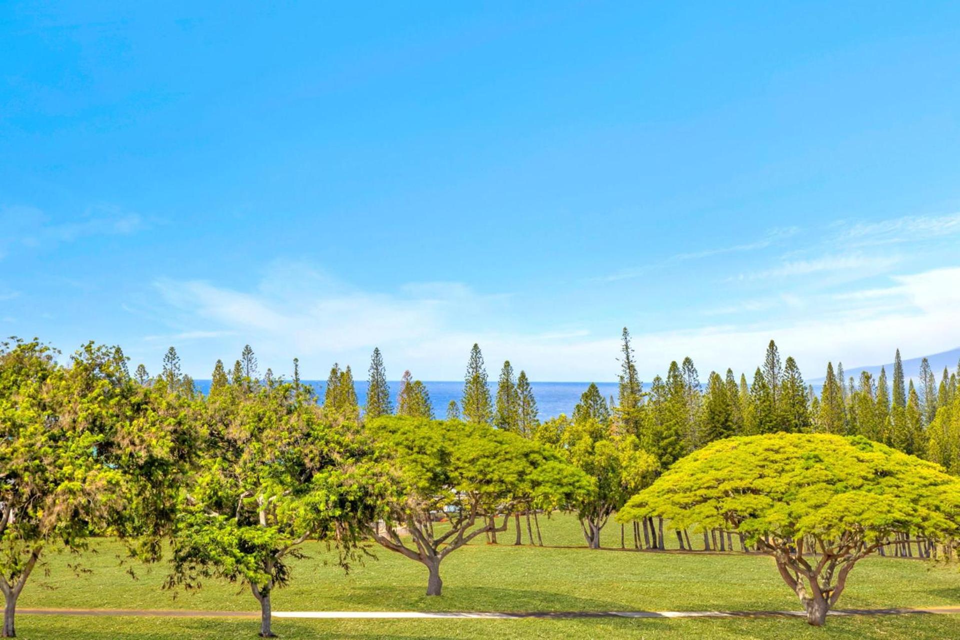 NEW KBM Resorts FREE CAR Kapalua Golf Villas 1-Bedroom Condo with Spacious Lanai and Golf Course Views KGV-18T4
