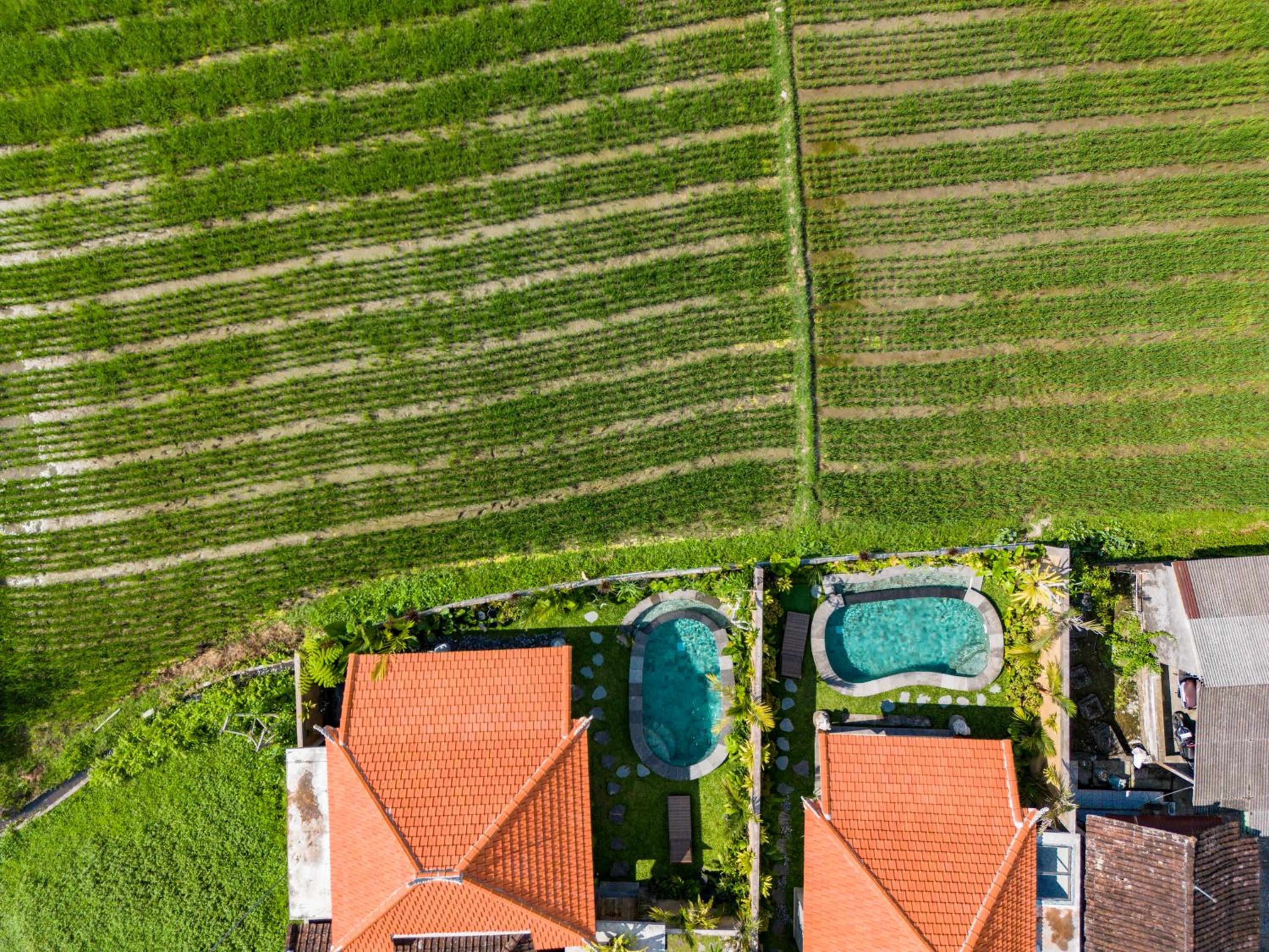 Seelong Villa Ubud by Dhananjaya Hospitality